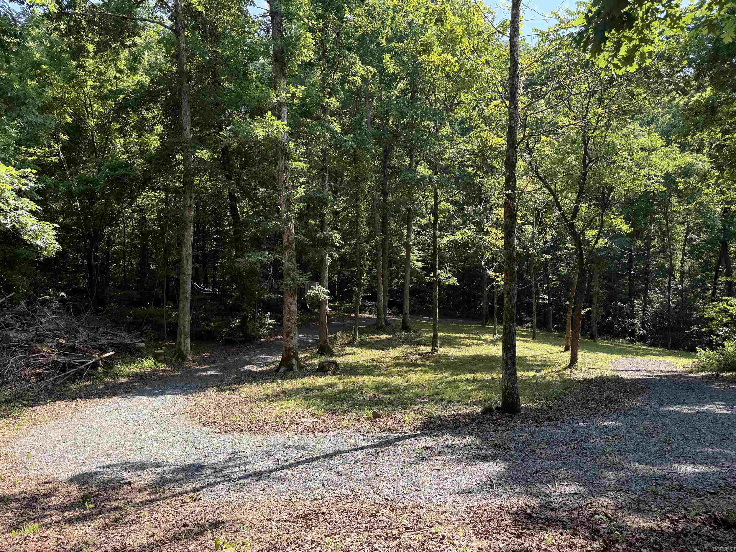 000 River Road  Shirley, AR