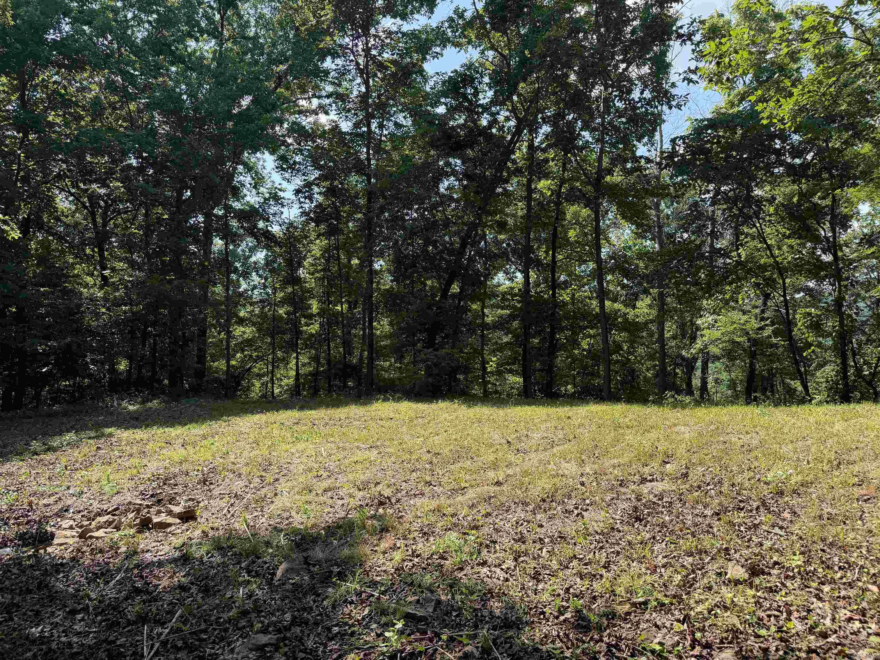 000 River Road  Shirley, AR