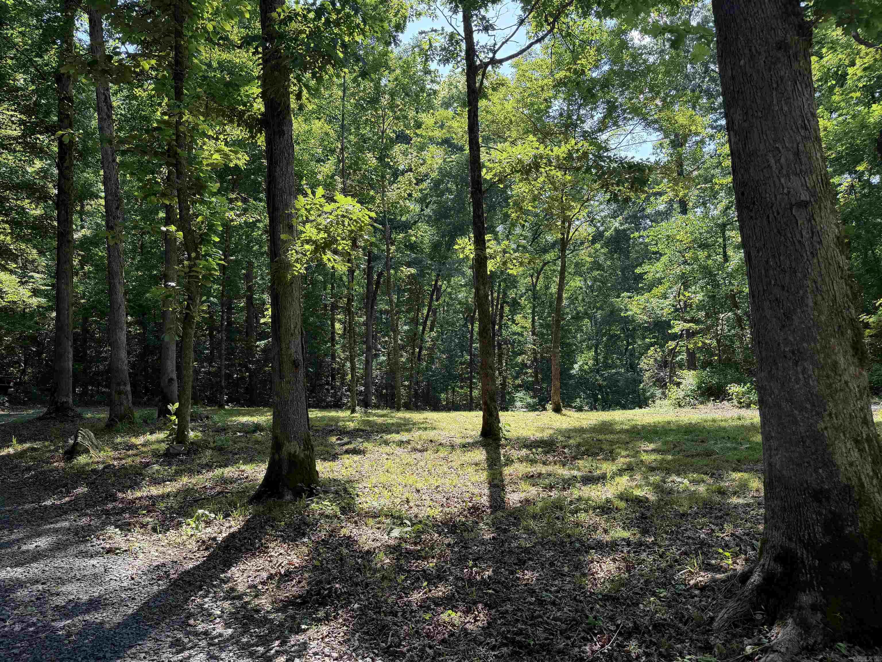 000 River Road  Shirley, AR
