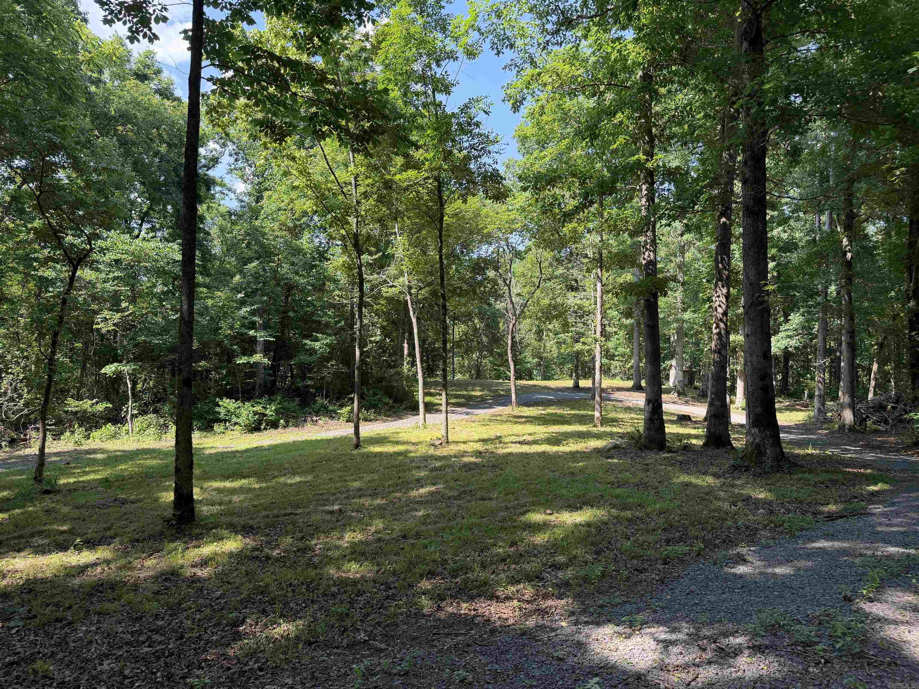000 River Road  Shirley, AR