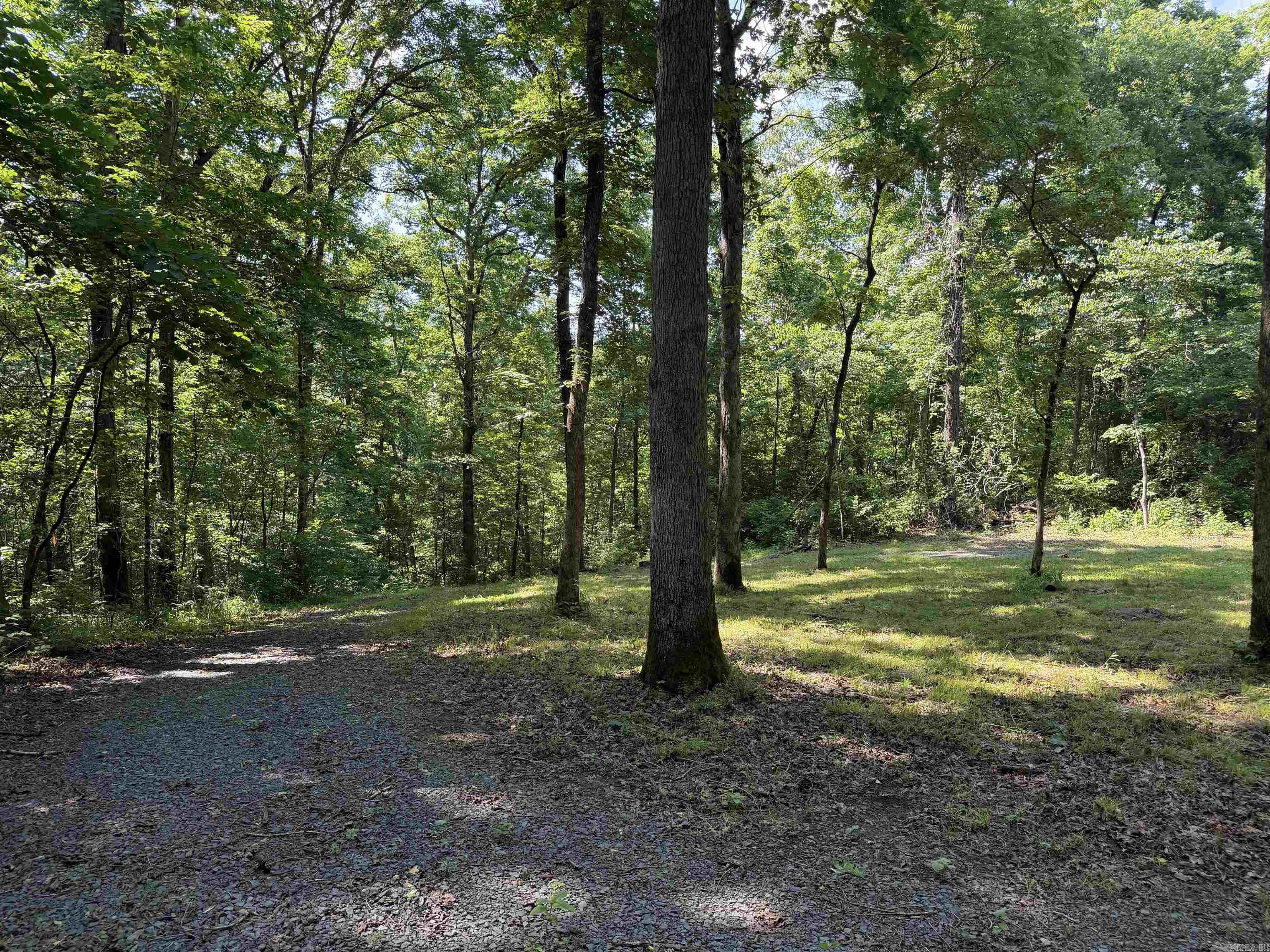000 River Road  Shirley, AR