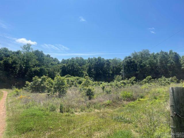 53 B Pilgrim Rest  Greenbrier, AR