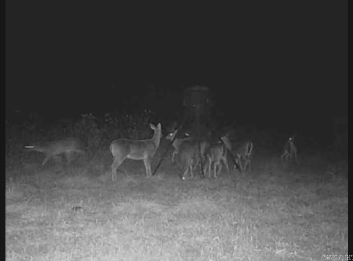 2272 Gravesville Cutoff RD.  Damascus, AR