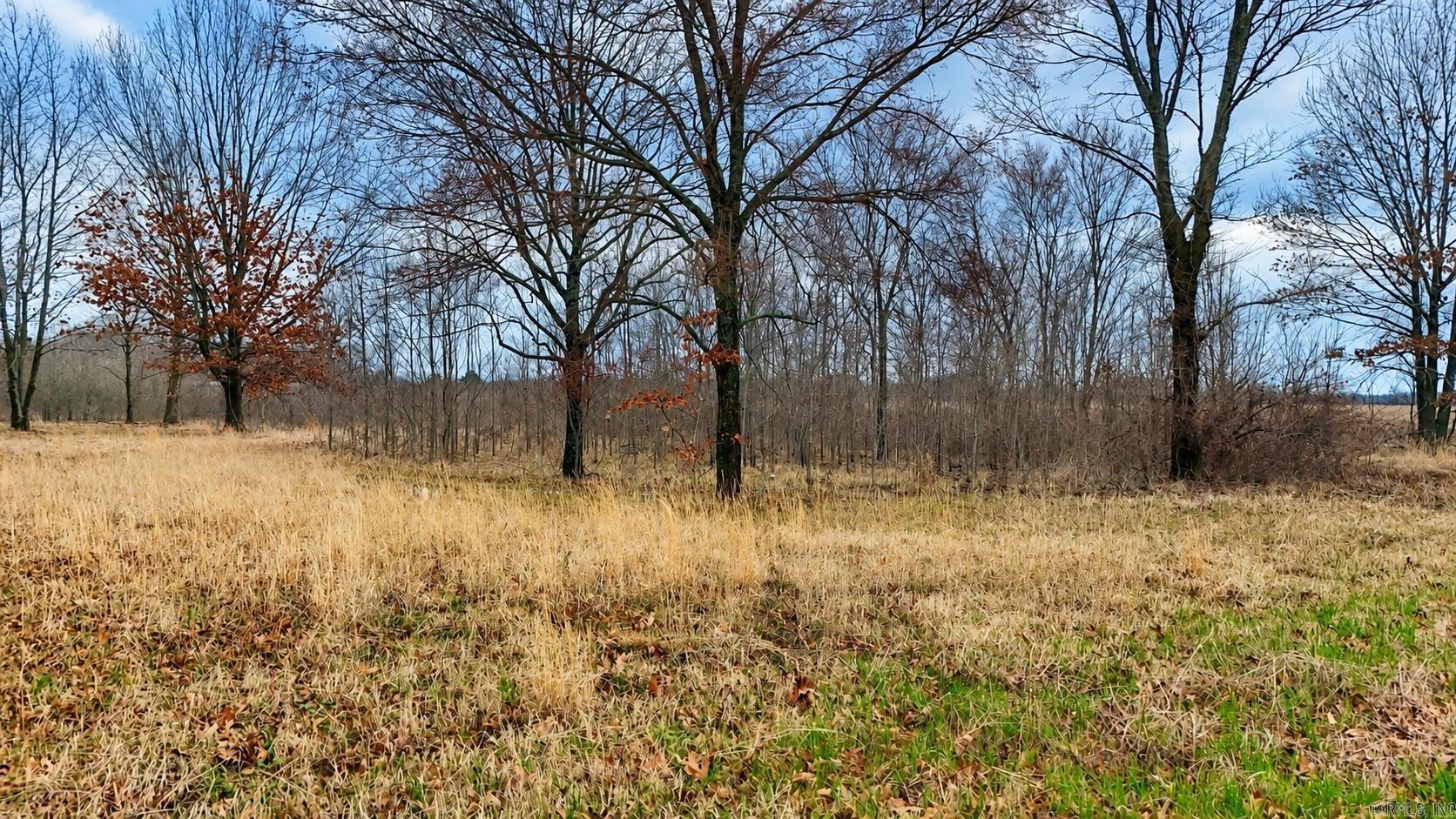 TBD Levinston North  Humphrey, AR