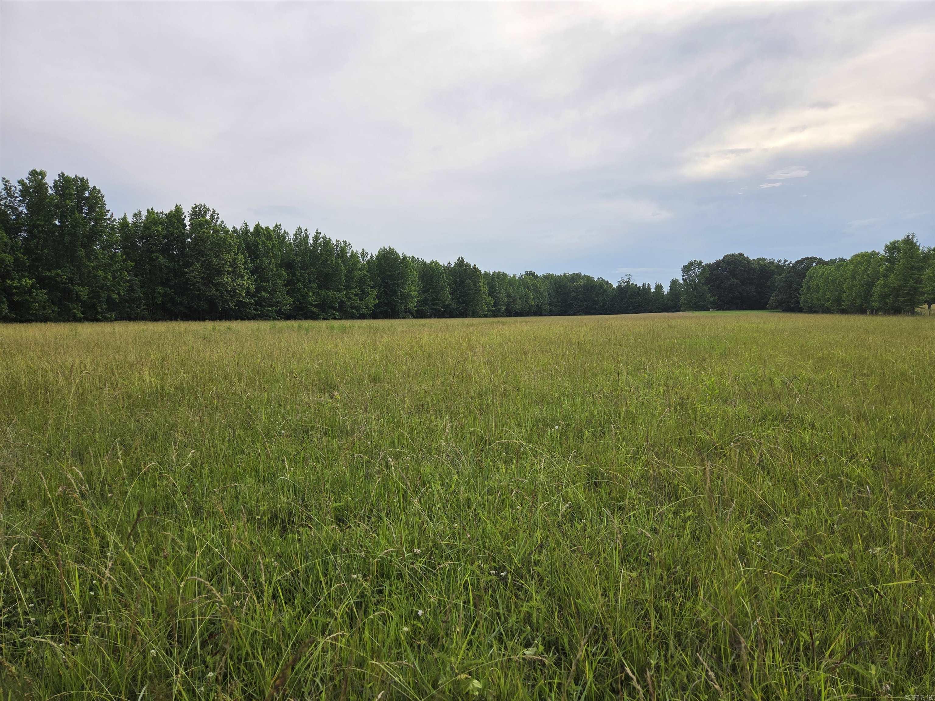 000 Greene 611 Tract B-2 Paragould, AR