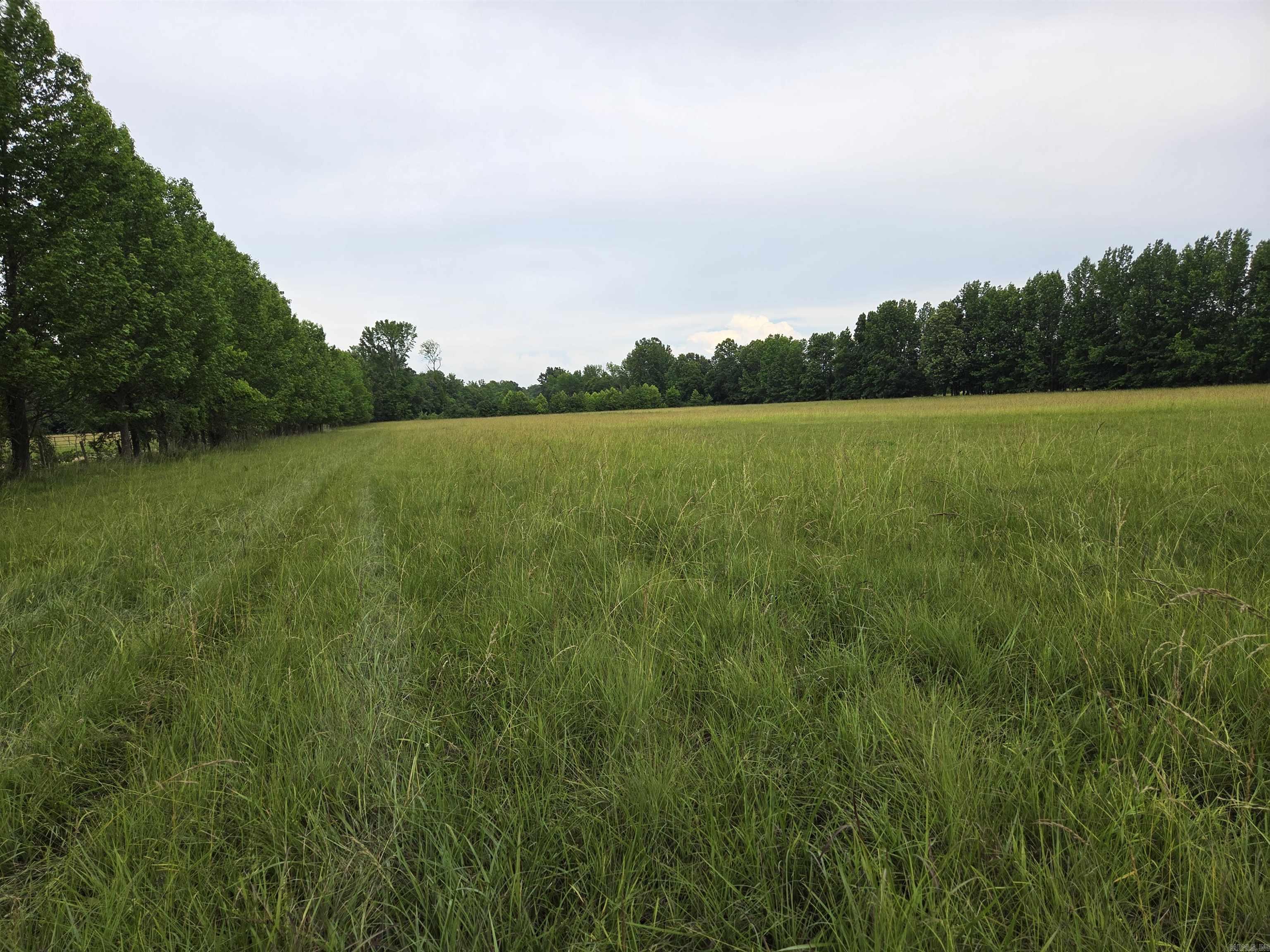 000 Greene 611 Tract B-2 Paragould, AR