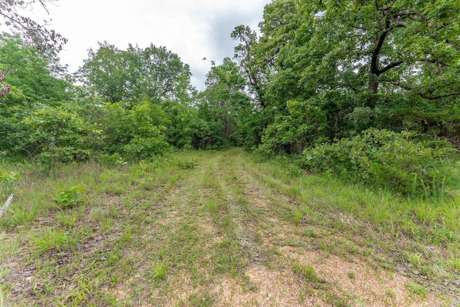 637 County Road 259  Myrtle, MO