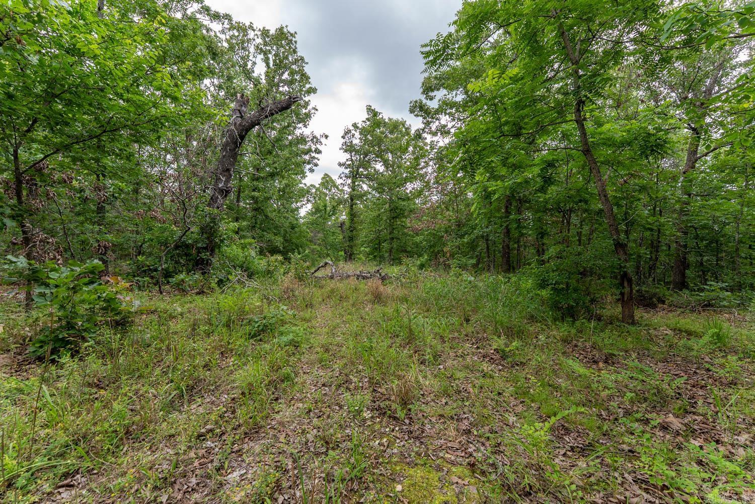 637 County Road 259  Myrtle, MO