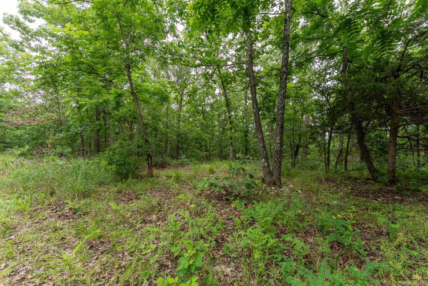 637 County Road 259  Myrtle, MO