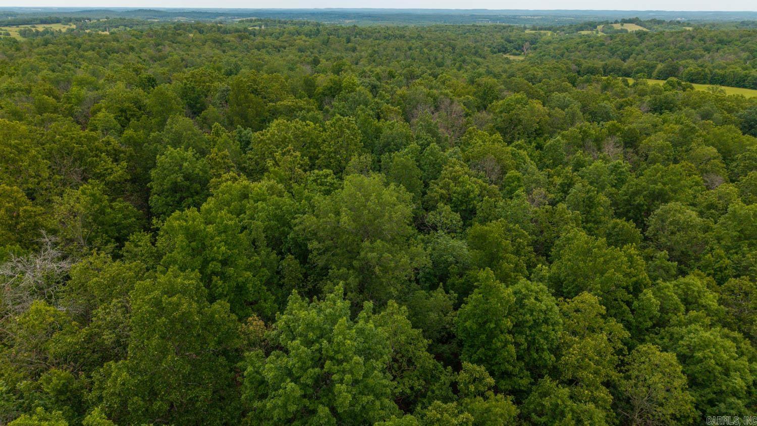 637 County Road 259  Myrtle, MO