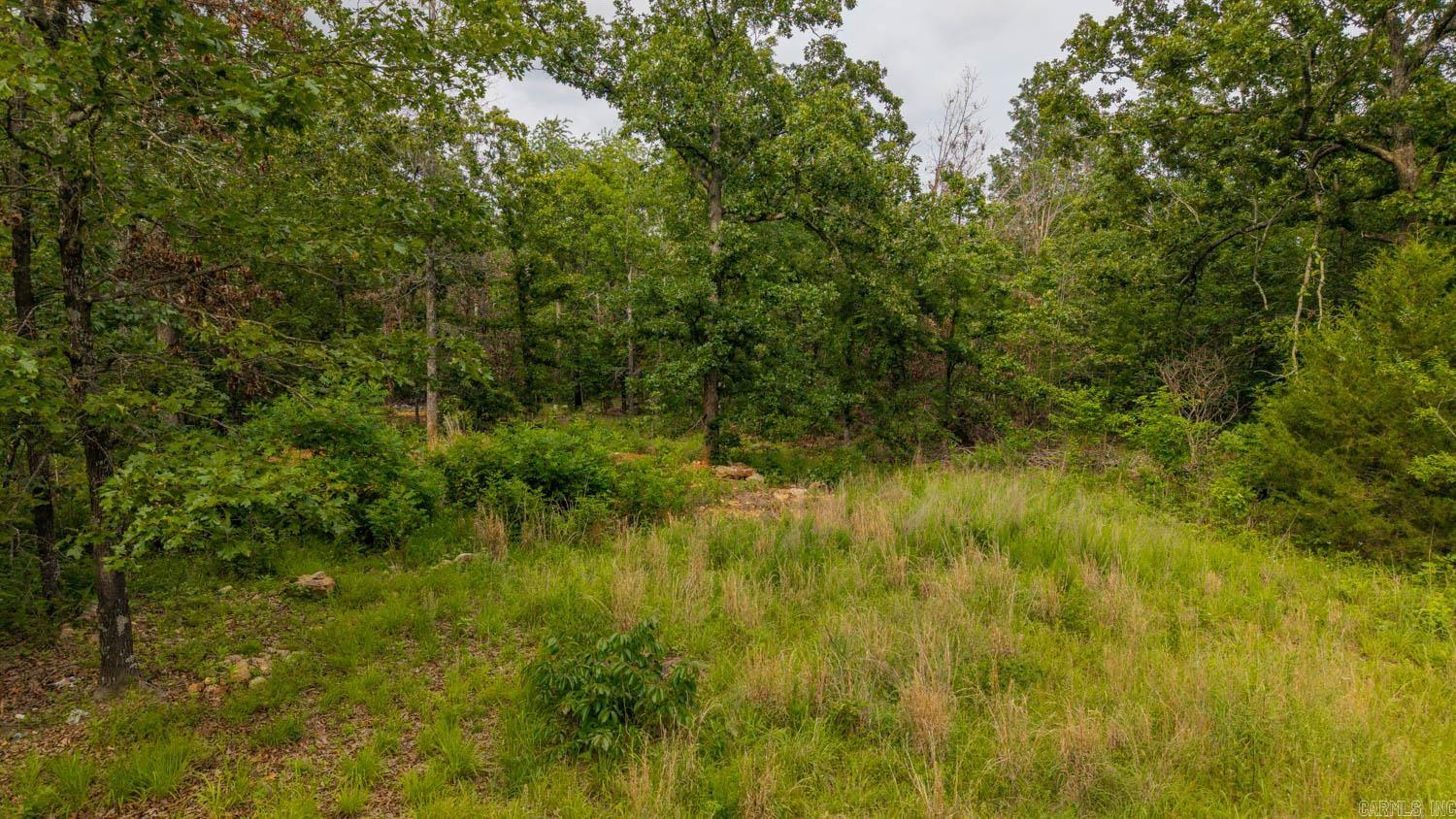 637 County Road 259  Myrtle, MO