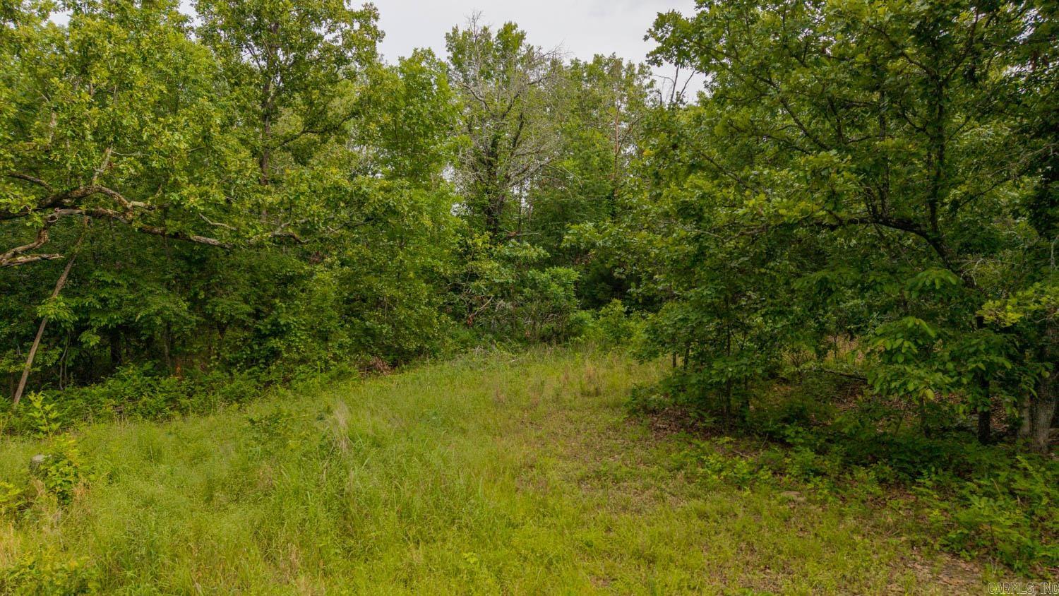 637 County Road 259  Myrtle, MO