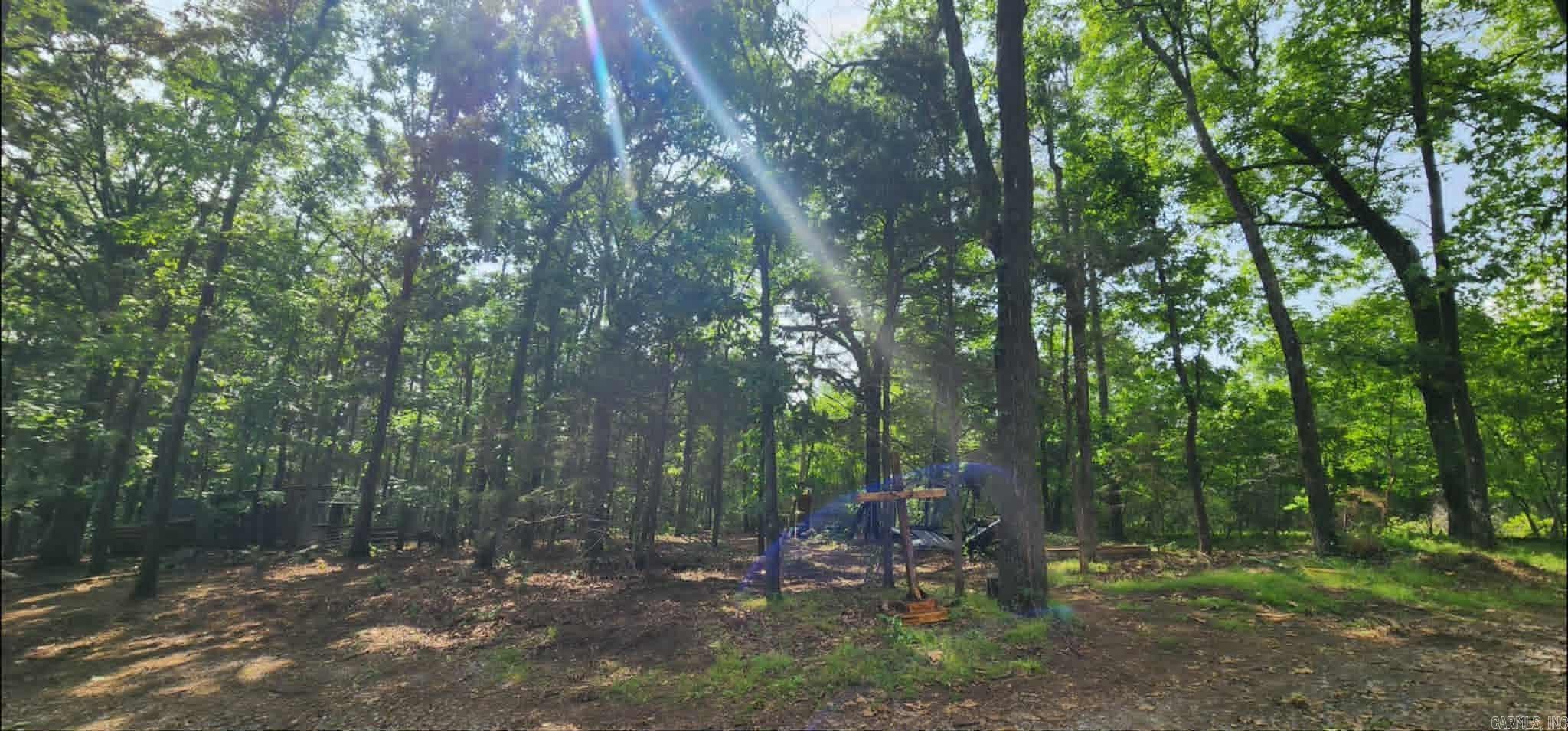 145 Sunny Springs  Dover, AR
