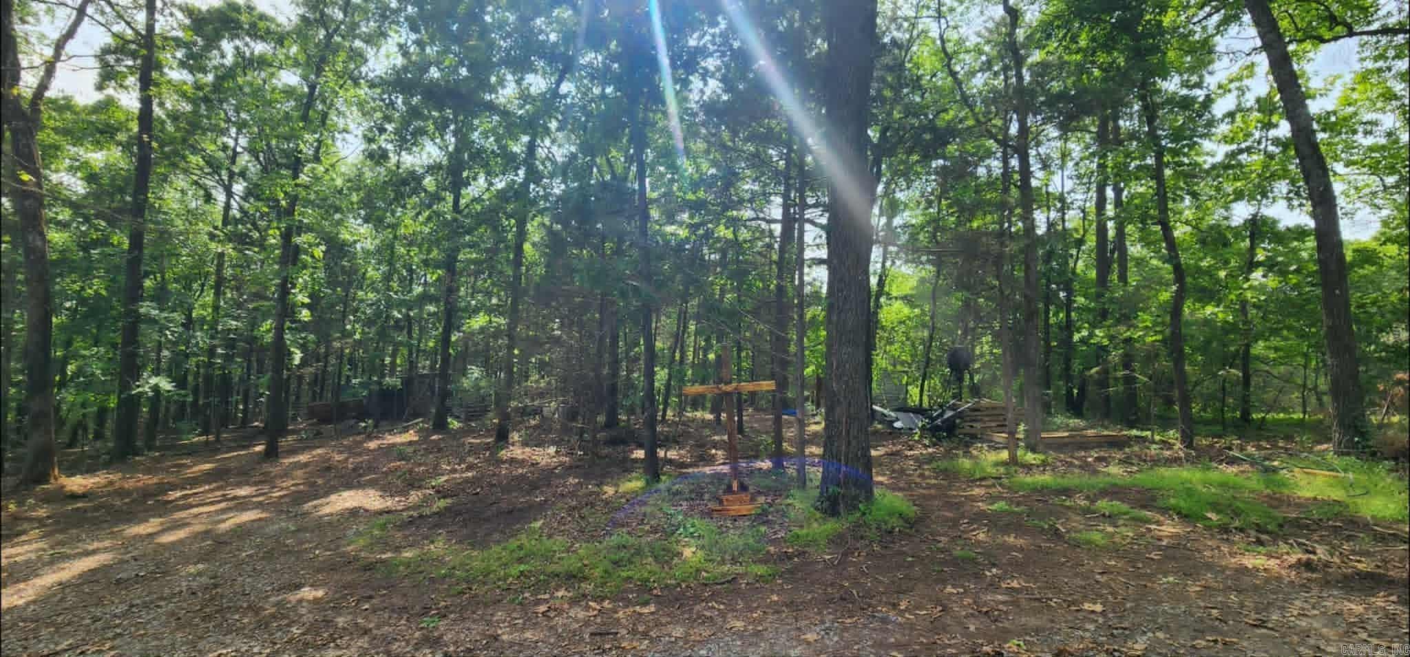 145 Sunny Springs  Dover, AR