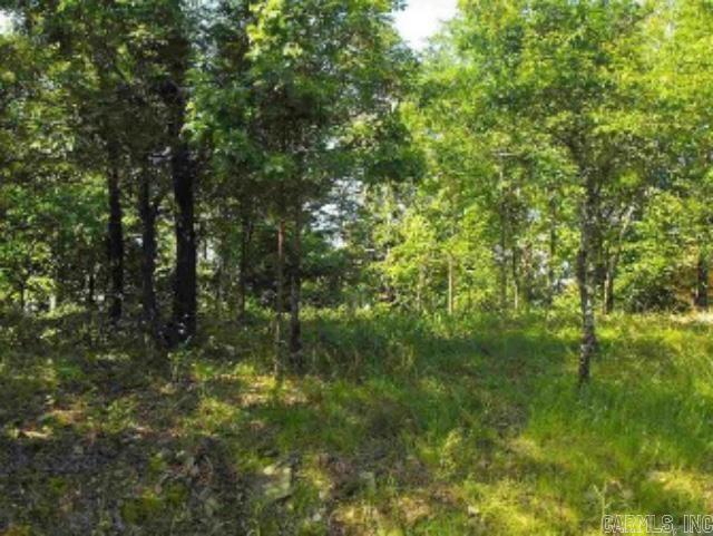 46 Binefar  Hot Springs Village, AR