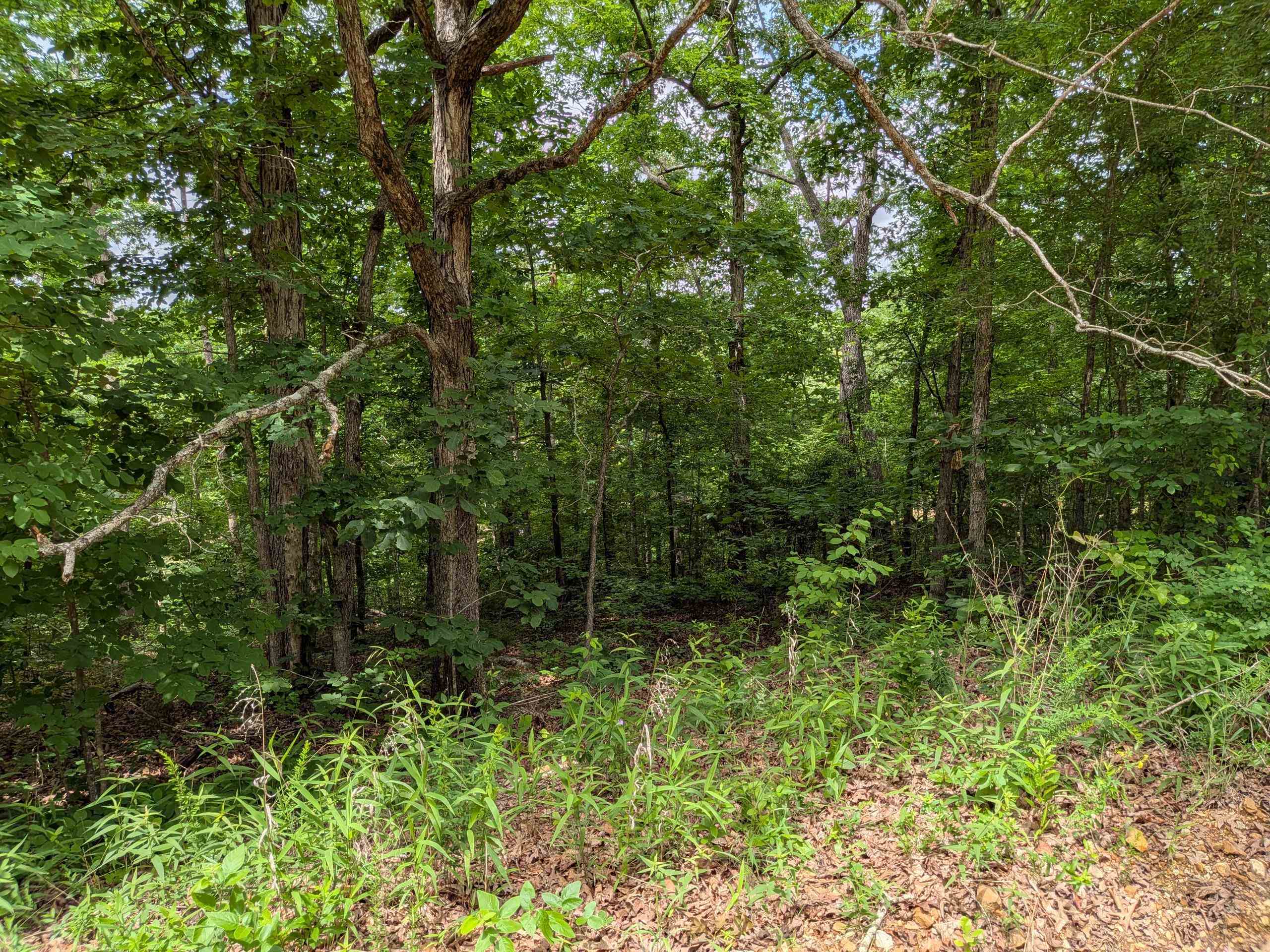  East Lakeshore  Ozark Acres, AR