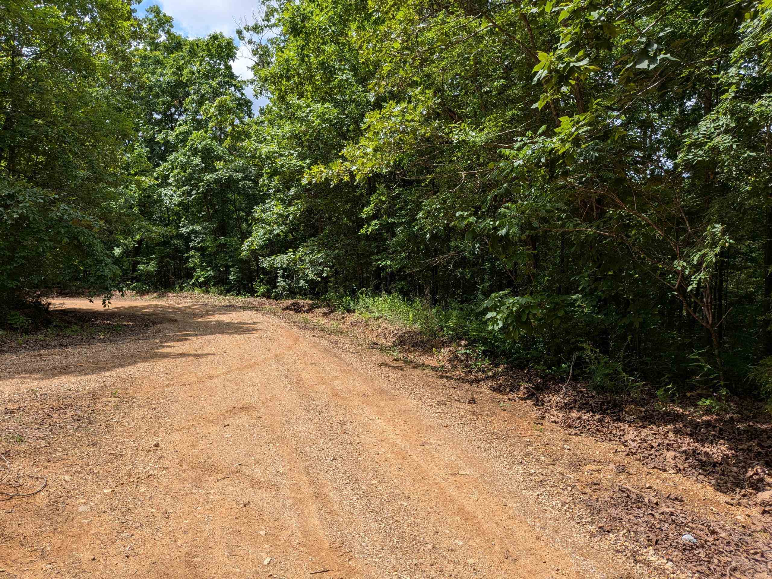  East Lakeshore  Ozark Acres, AR