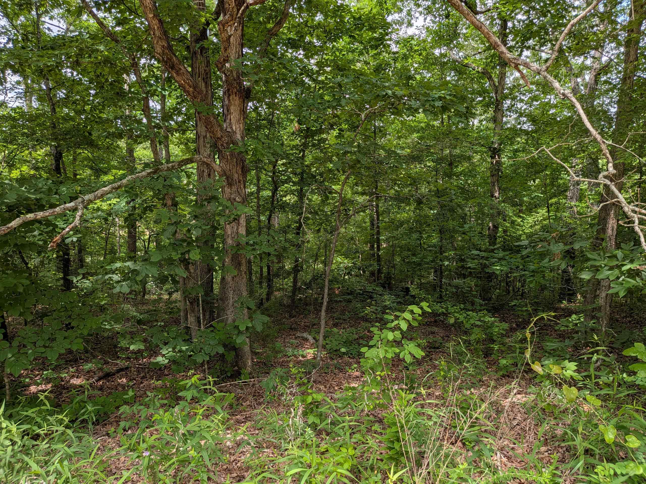  East Lakeshore  Ozark Acres, AR