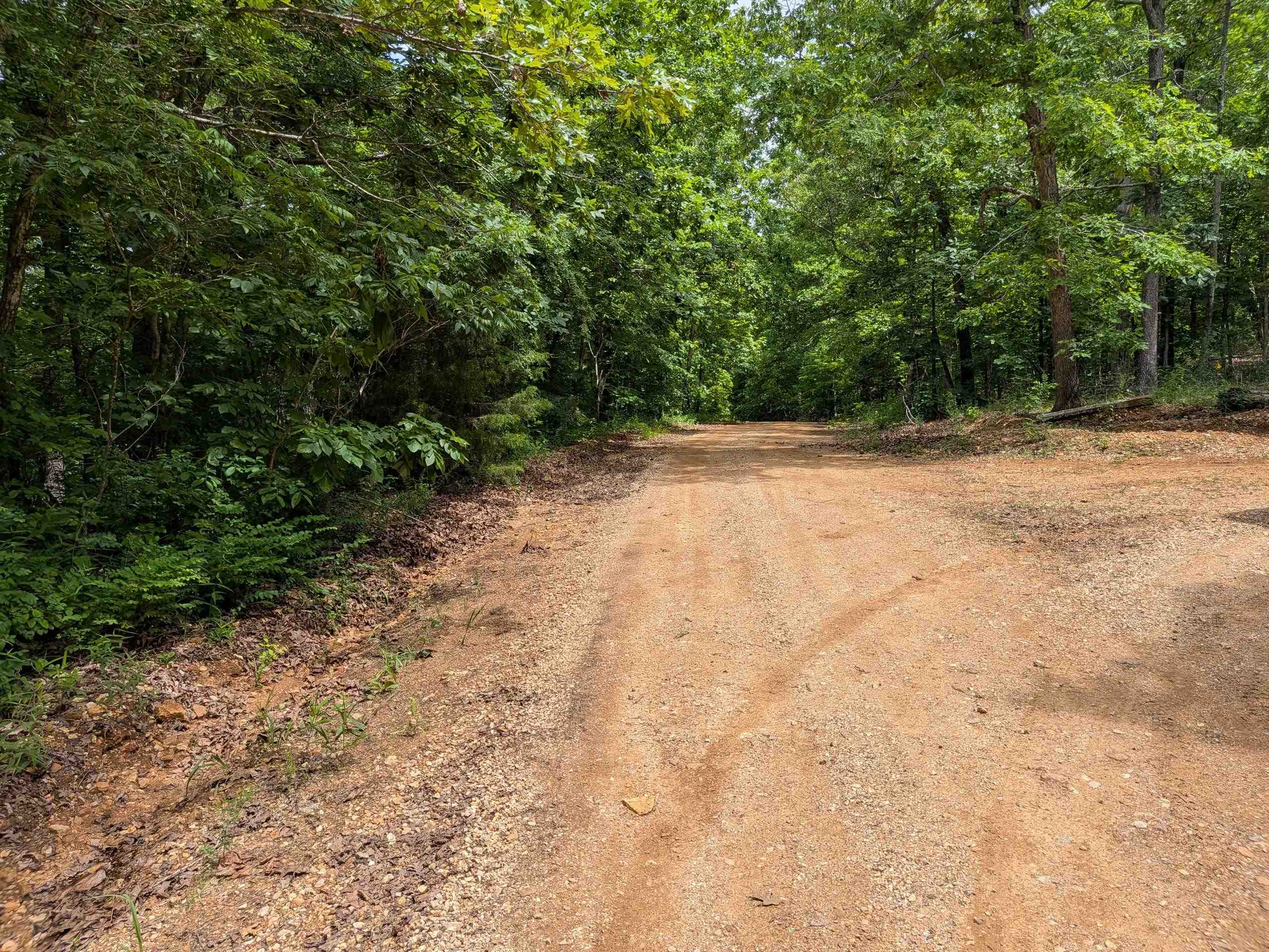  East Lakeshore  Ozark Acres, AR
