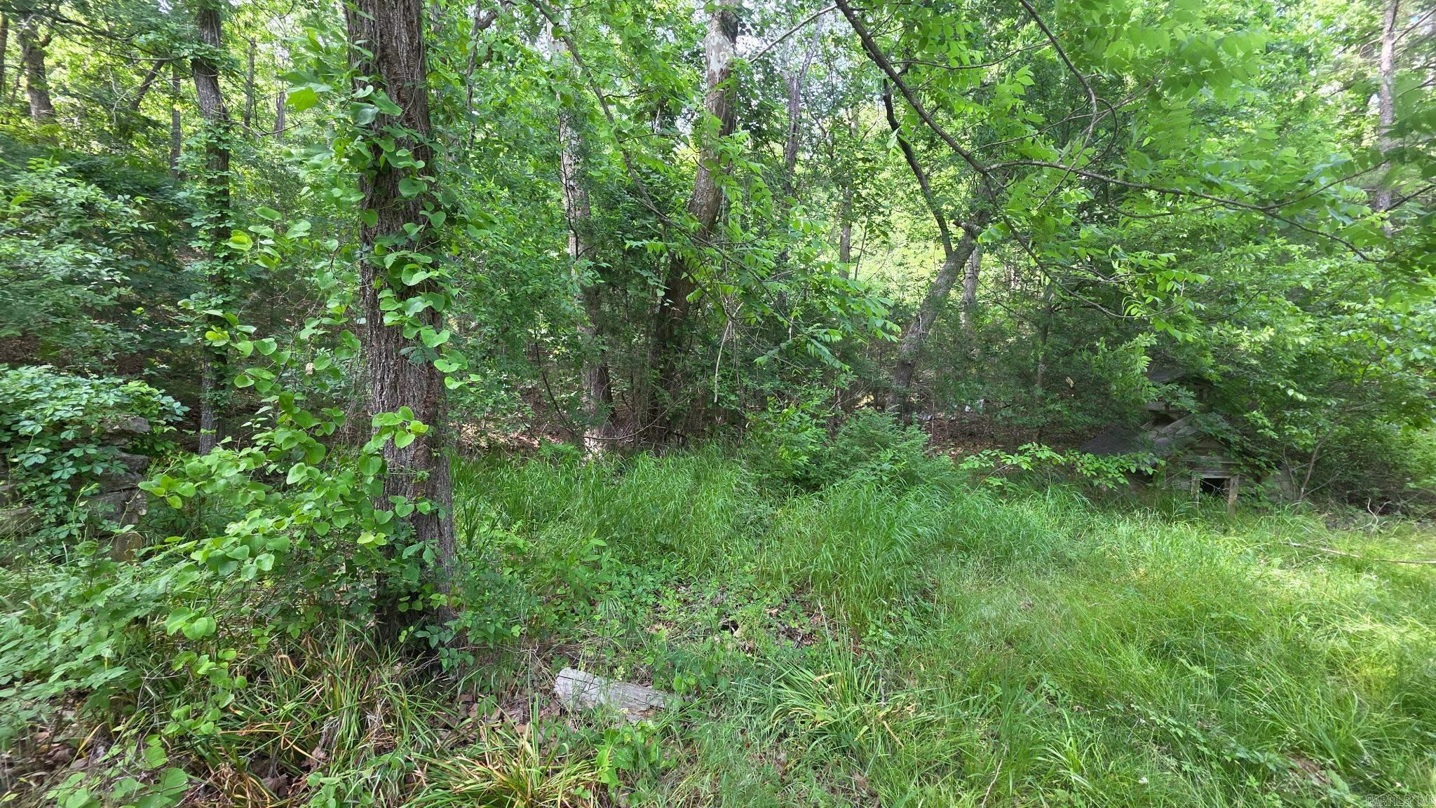 547 MC 3002  Yellville, AR