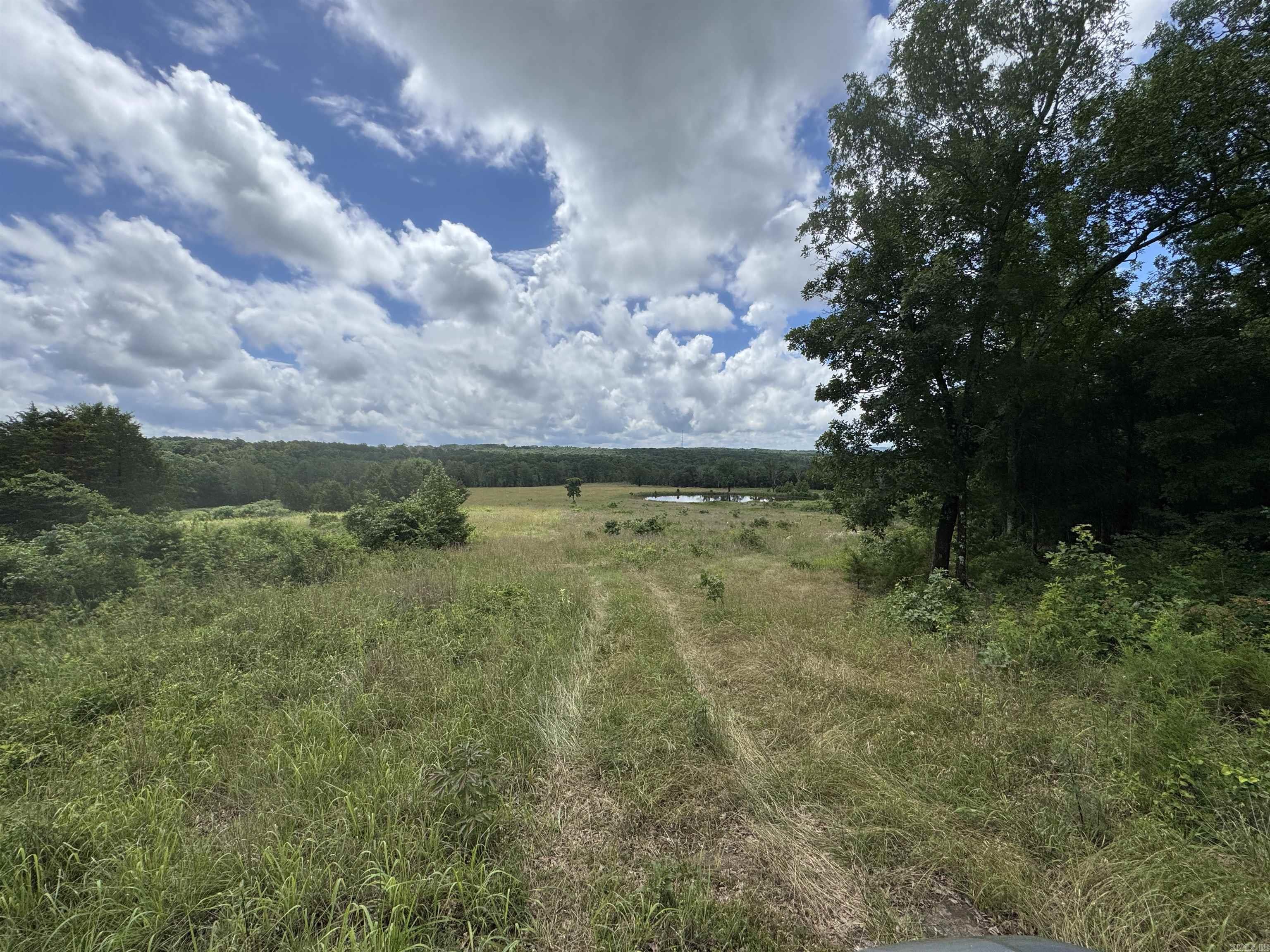 1304 Orchard  Shirley, AR