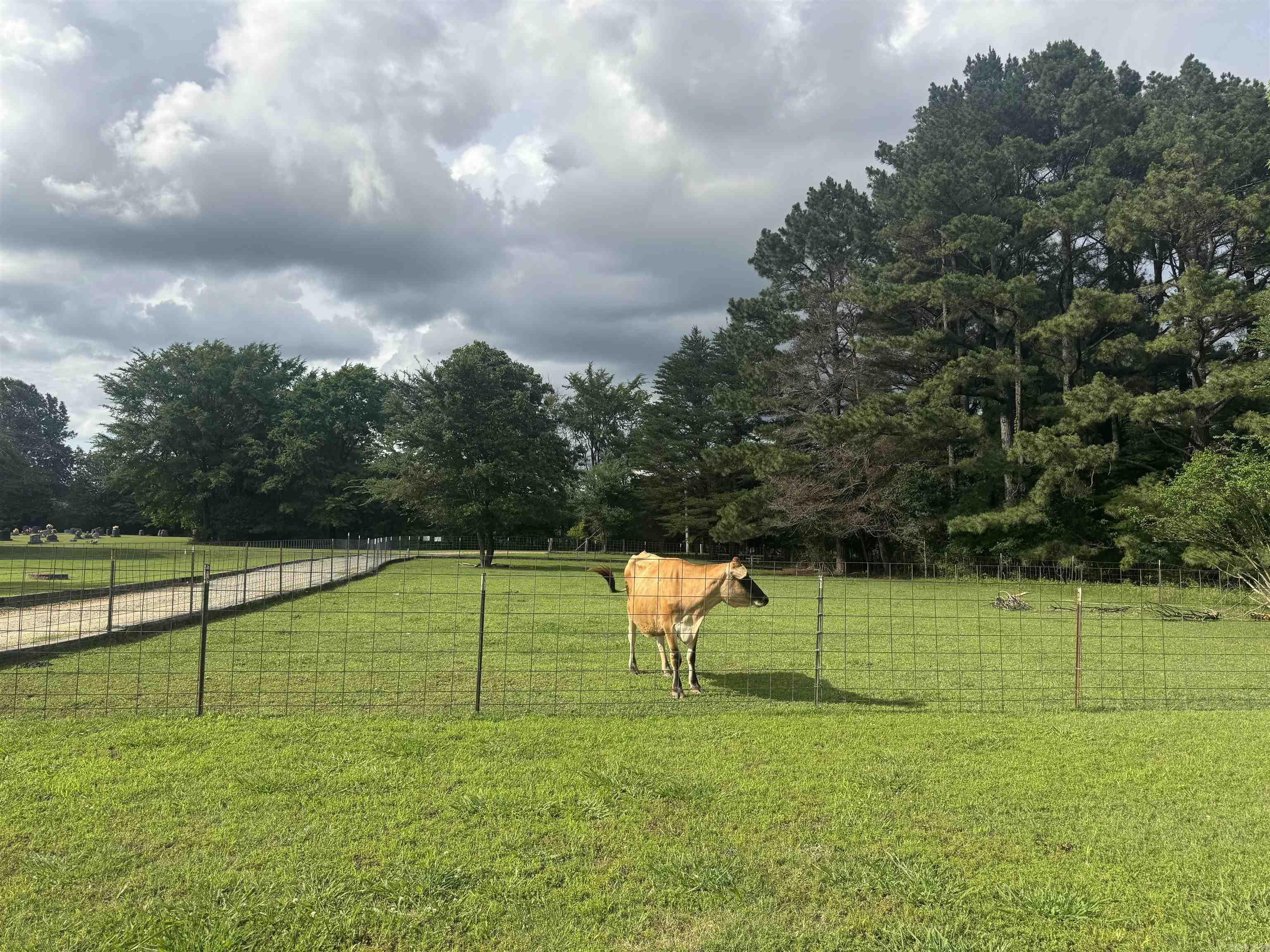 2424 Greene 424 Rd  Marmaduke, AR