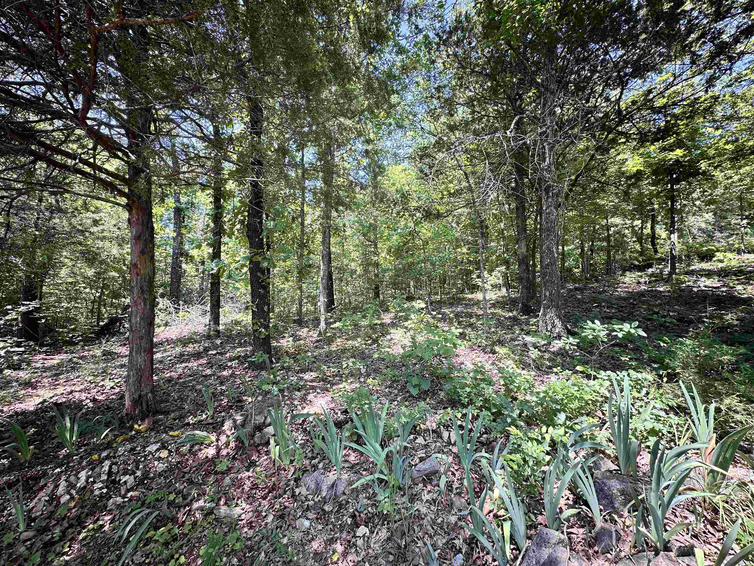 26 Quapaw  Cherokee Village, AR