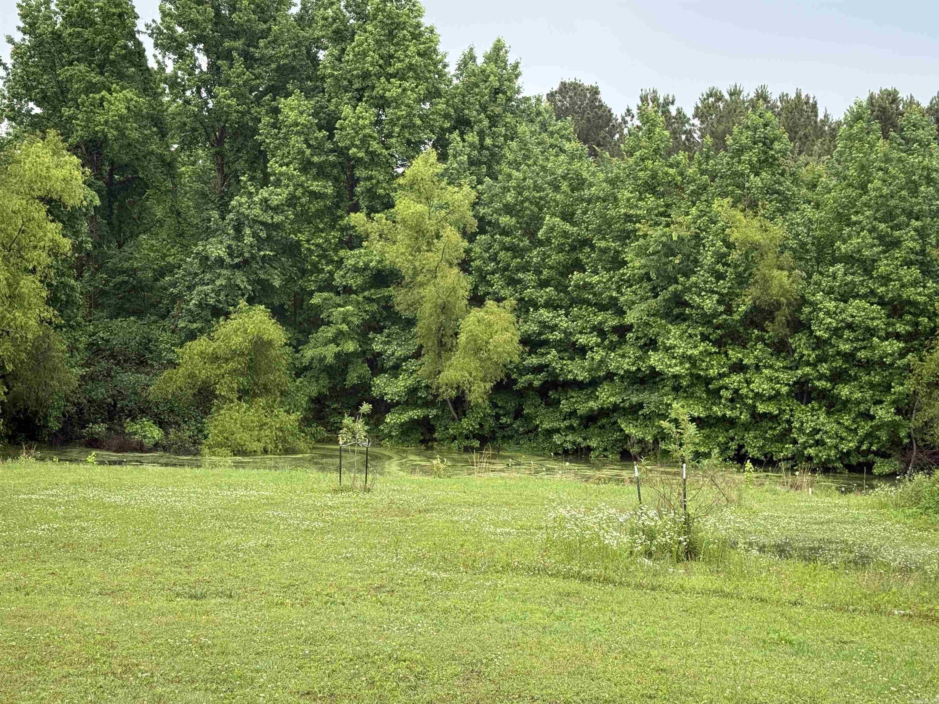 145 County Road 778  Jonesboro, AR