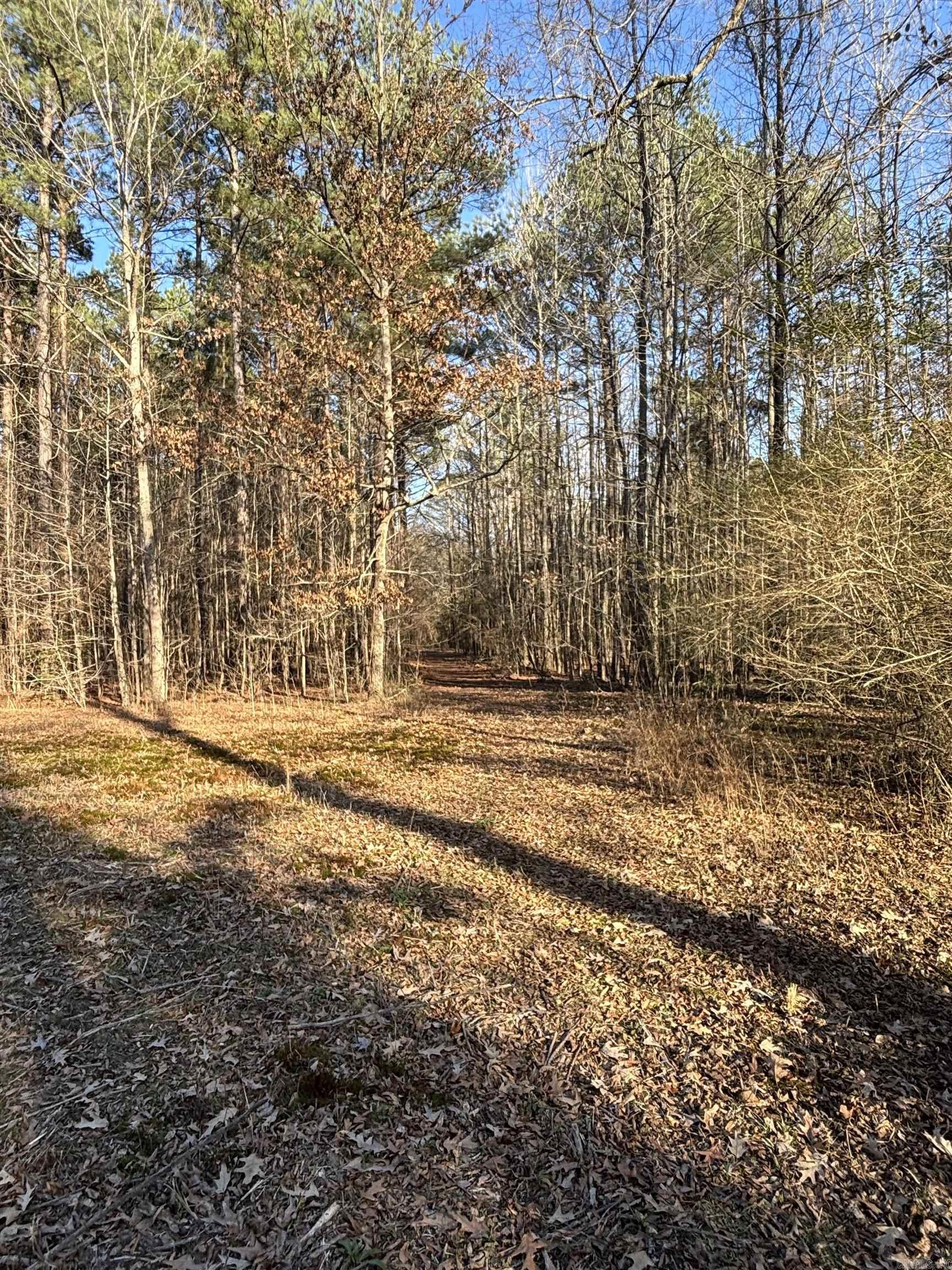 71 ACRE Grant 167031  Sheridan, AR