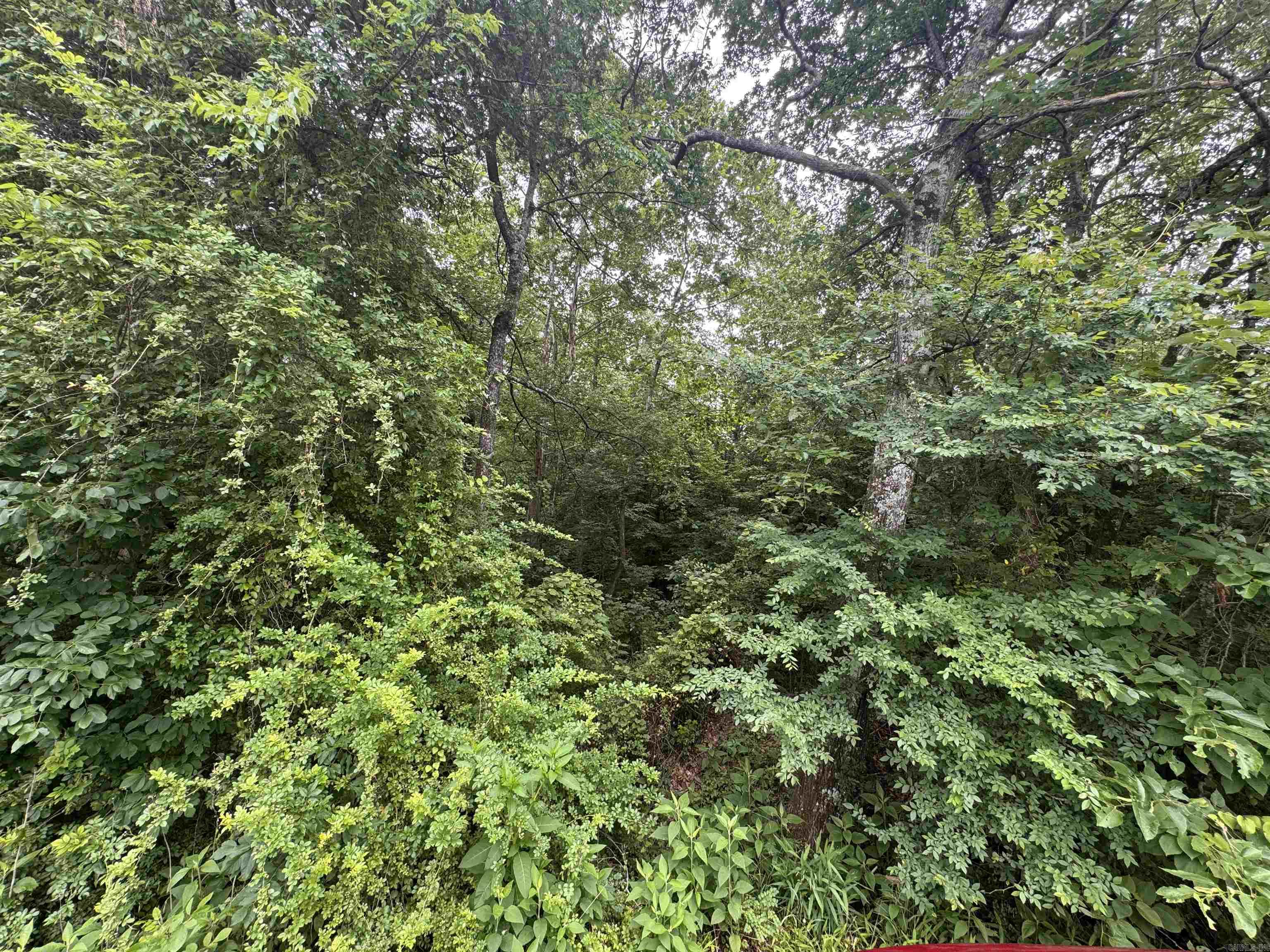 10 acres Liberty  Norman, AR