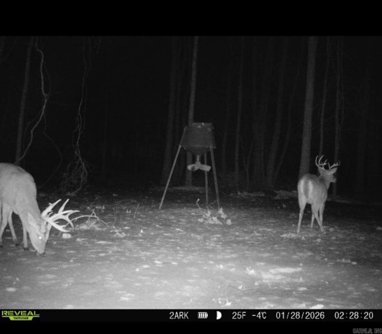 00 County Road 600  Marvell, AR