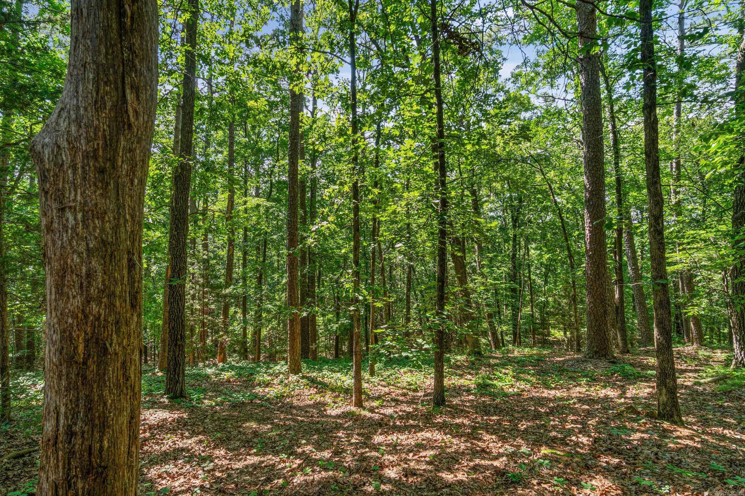 2 Baywood  Heber Springs, AR