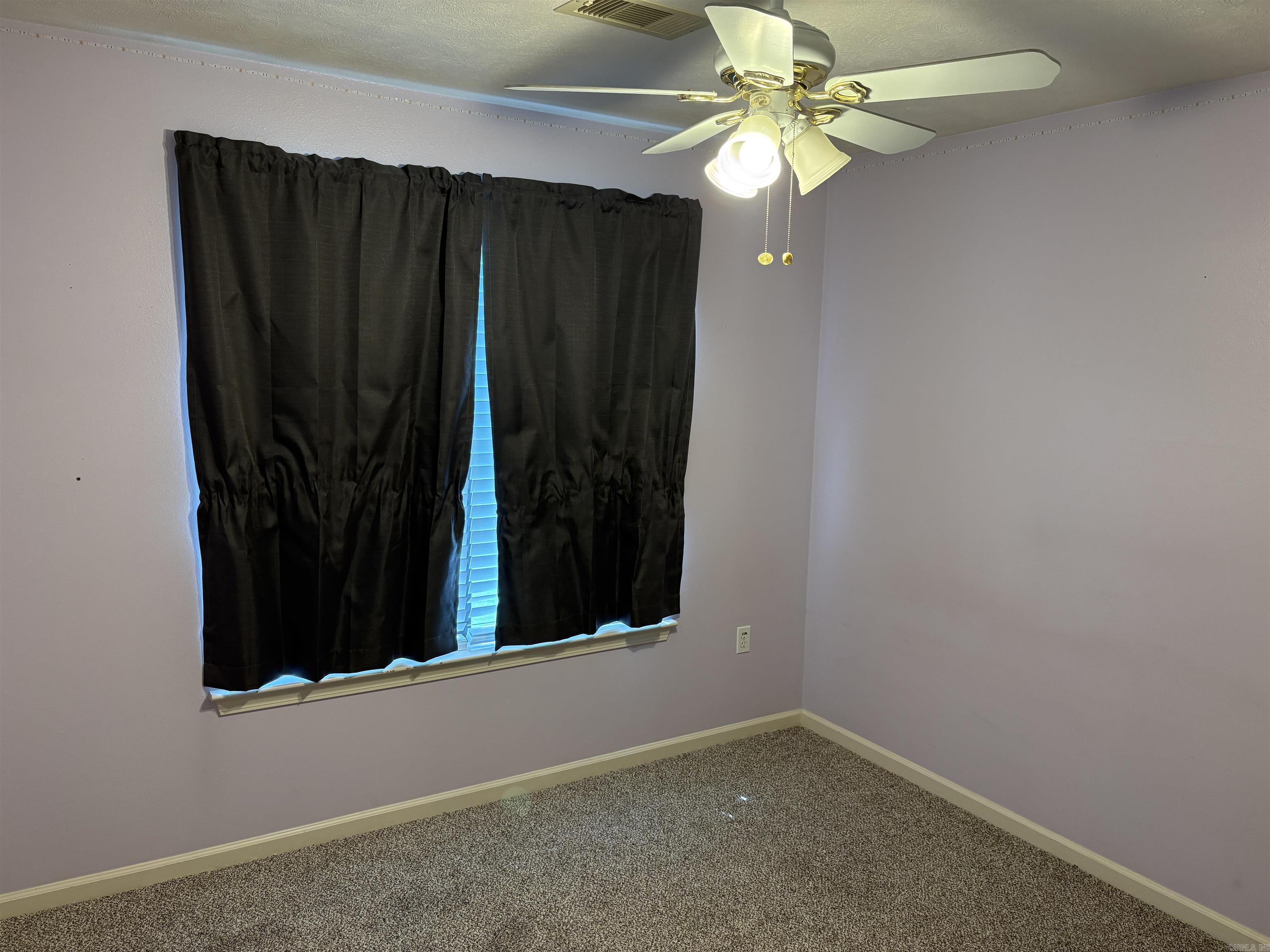 298 Niagra Falls  Conway, AR