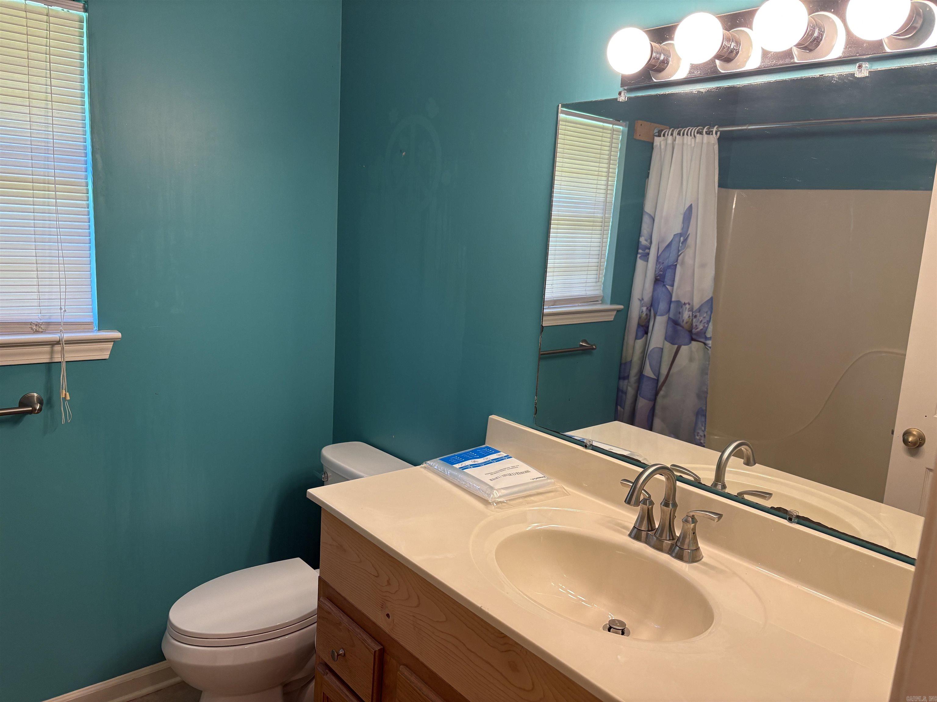 298 Niagra Falls  Conway, AR