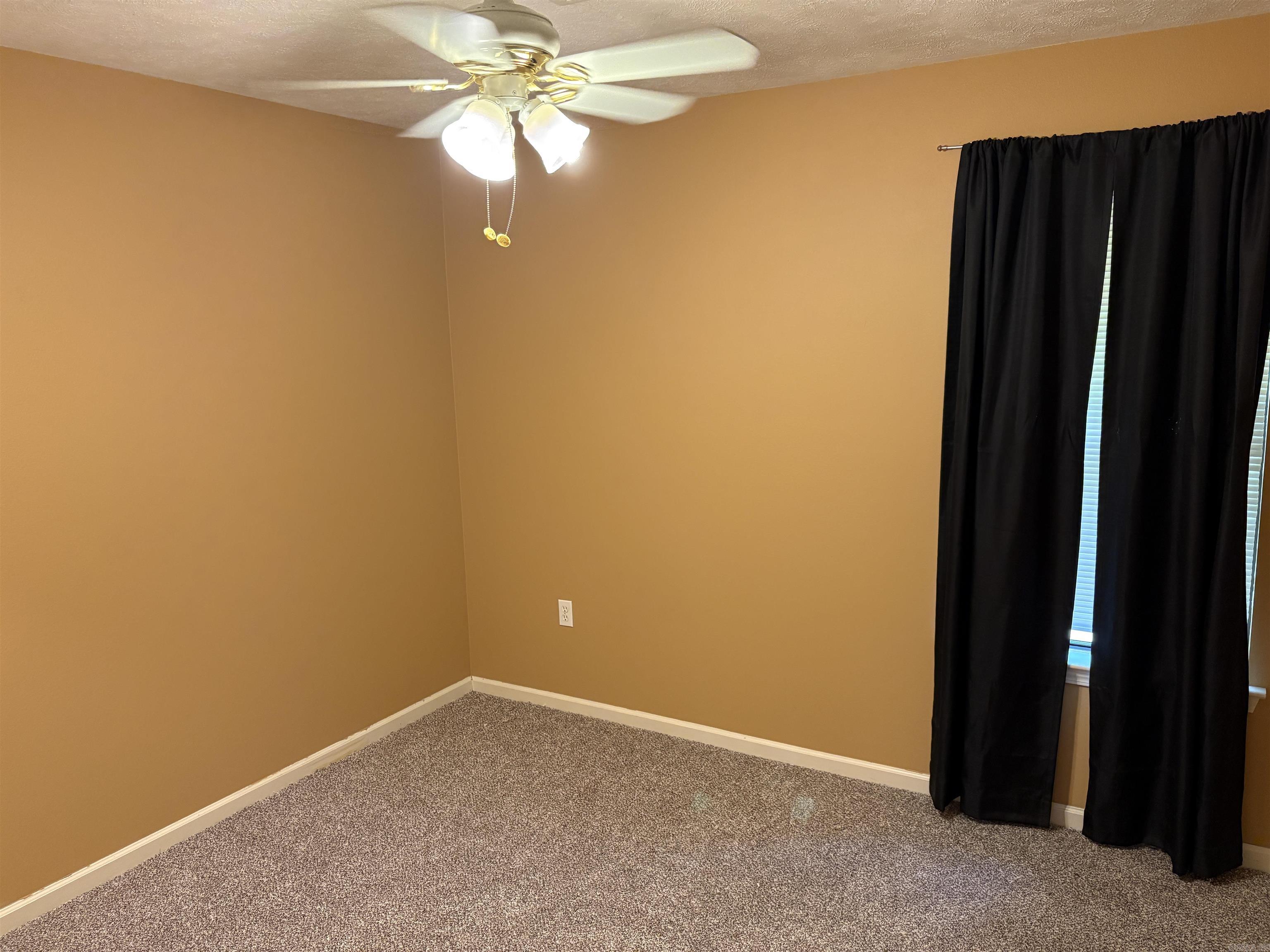 298 Niagra Falls  Conway, AR
