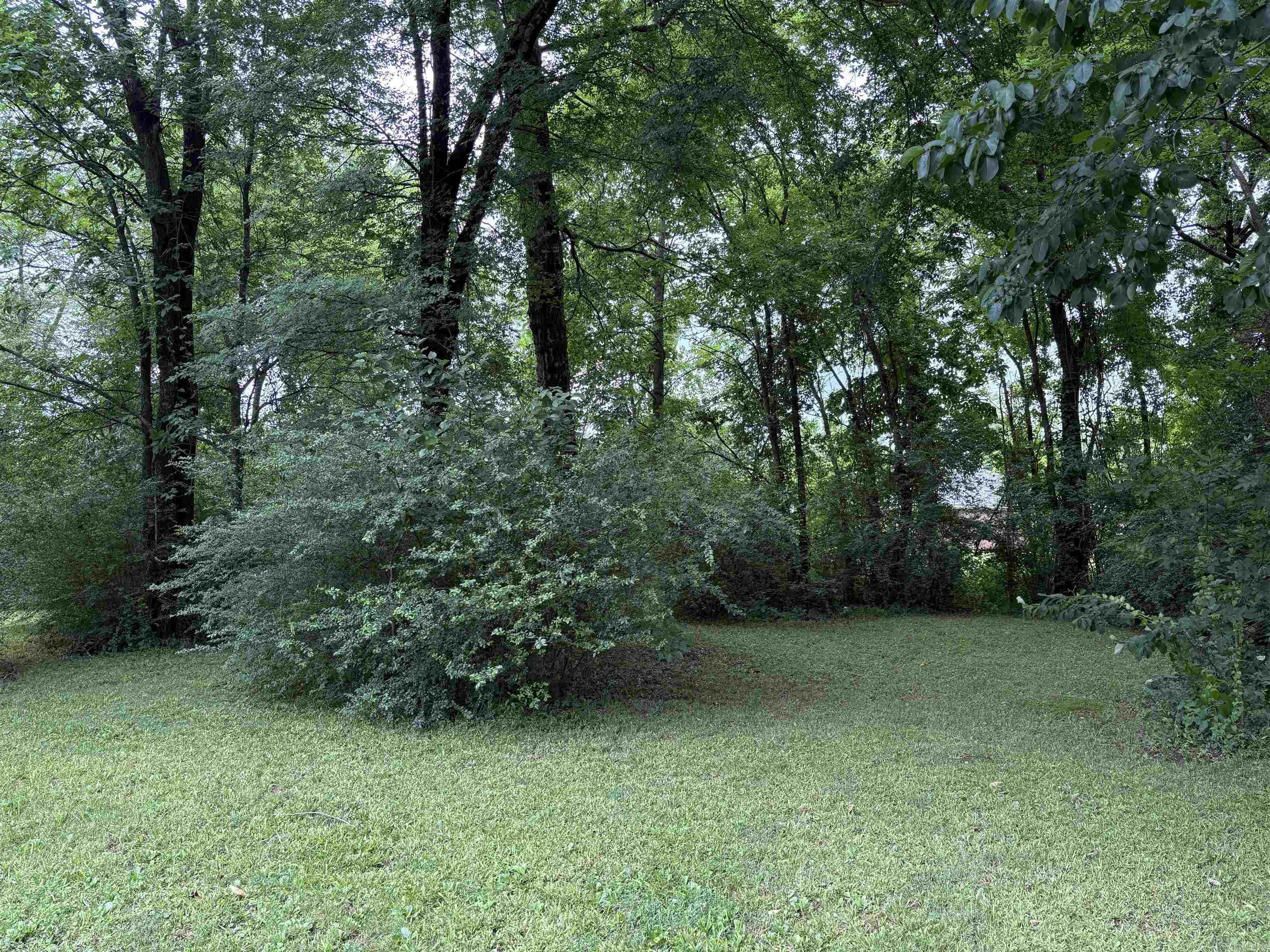 298 Niagra Falls  Conway, AR