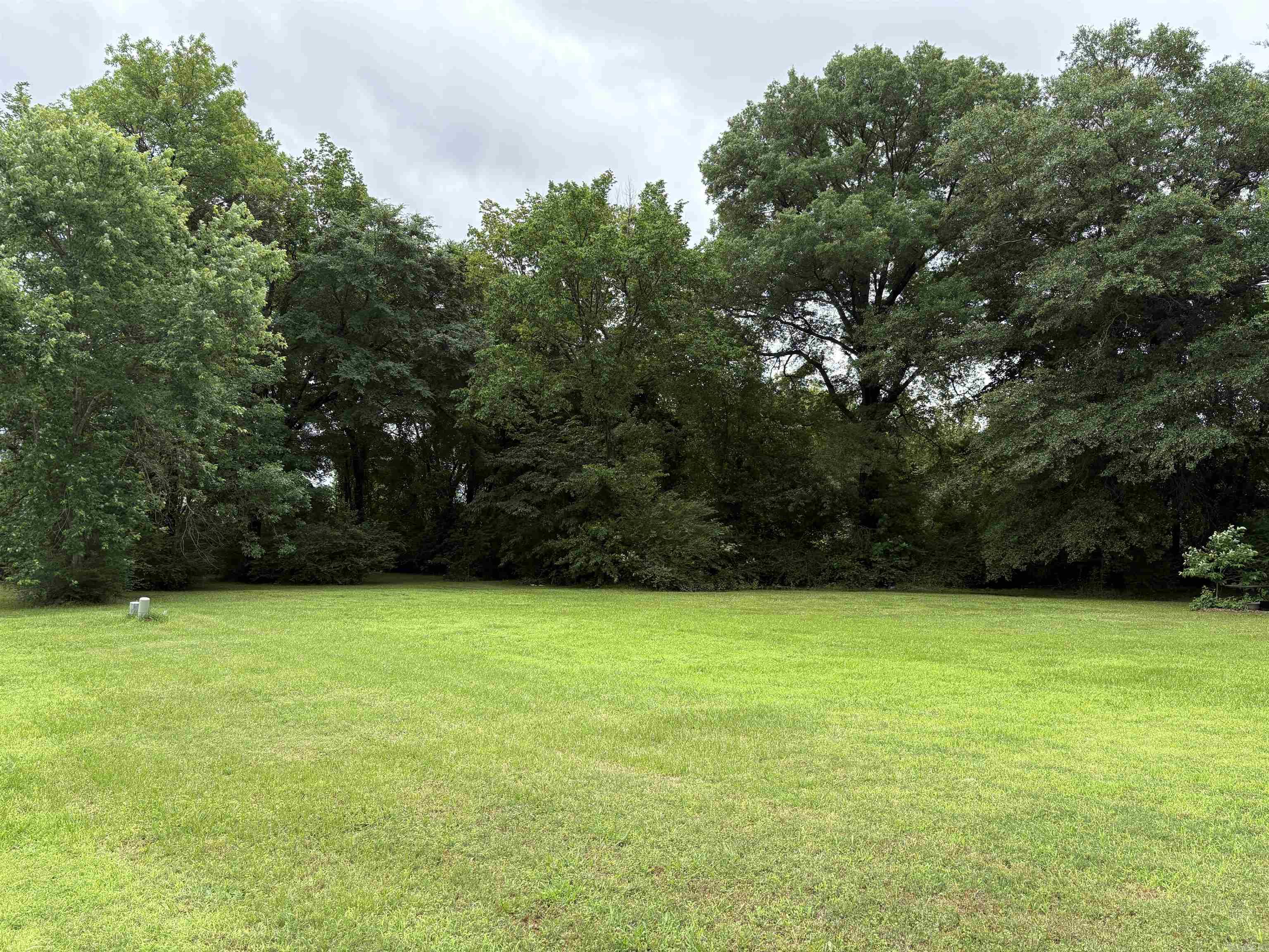 298 Niagra Falls  Conway, AR