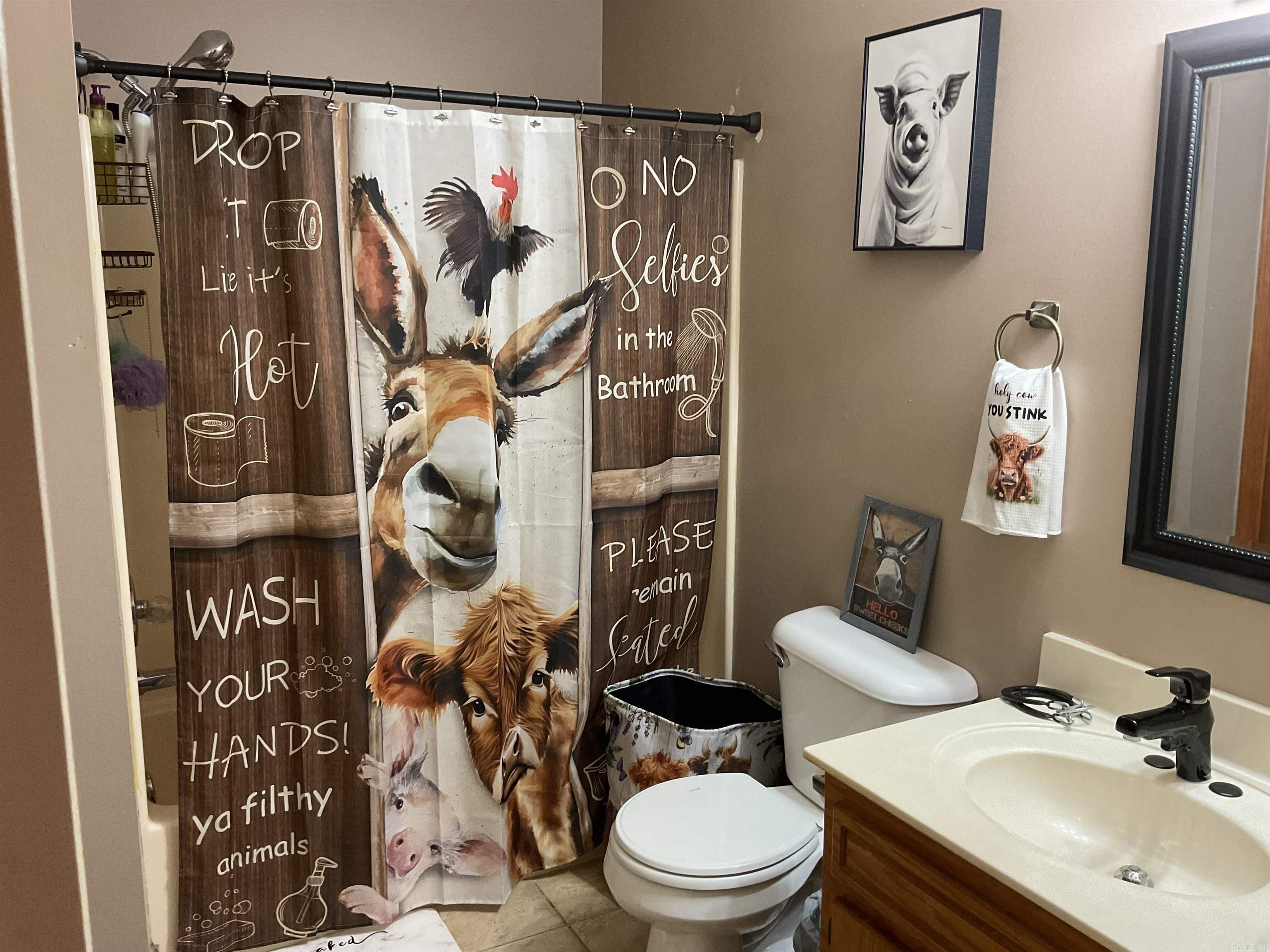 109 Cedar Valley Dr  El Paso, AR