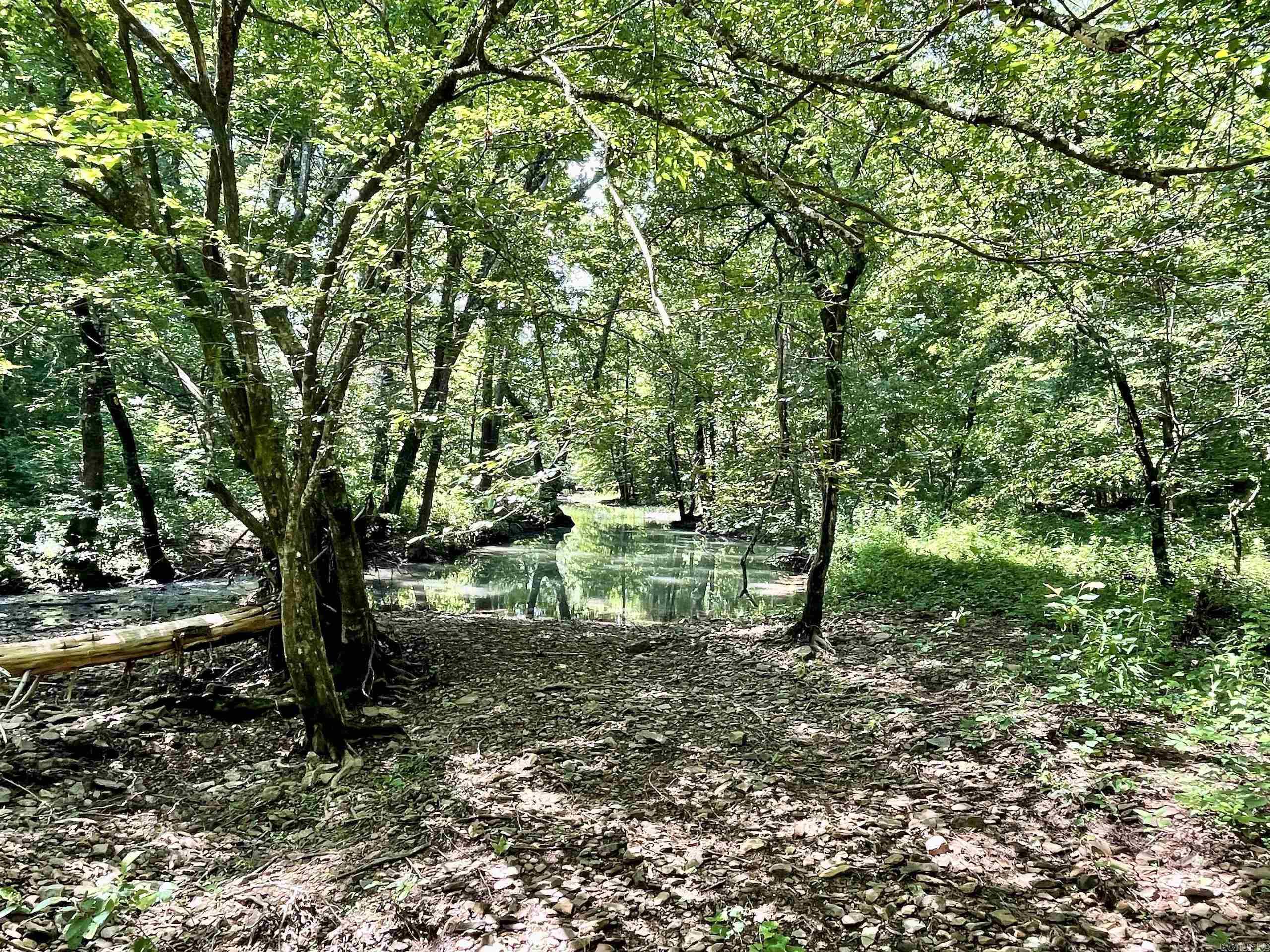 000 Resort  Higden, AR
