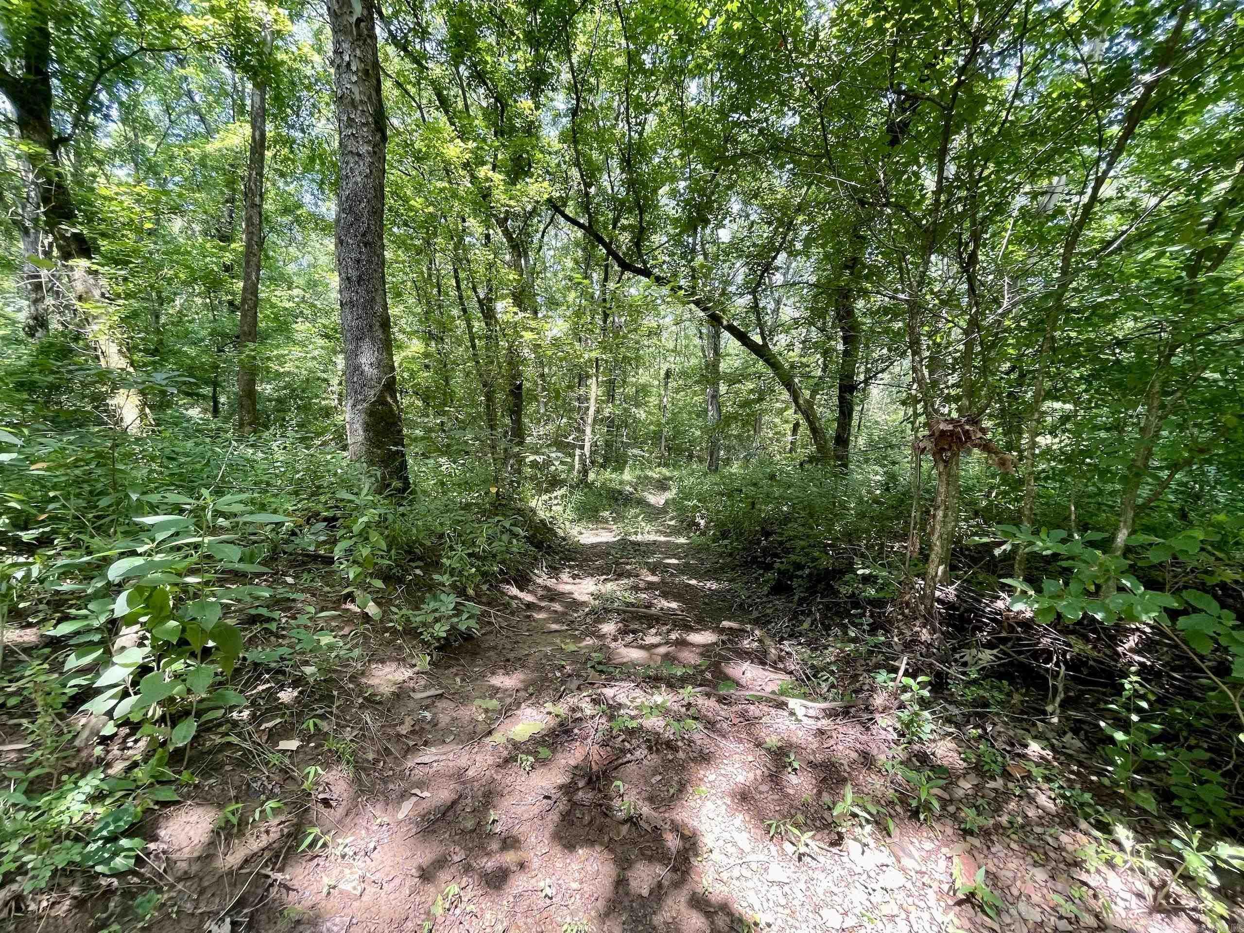 000 Resort  Higden, AR
