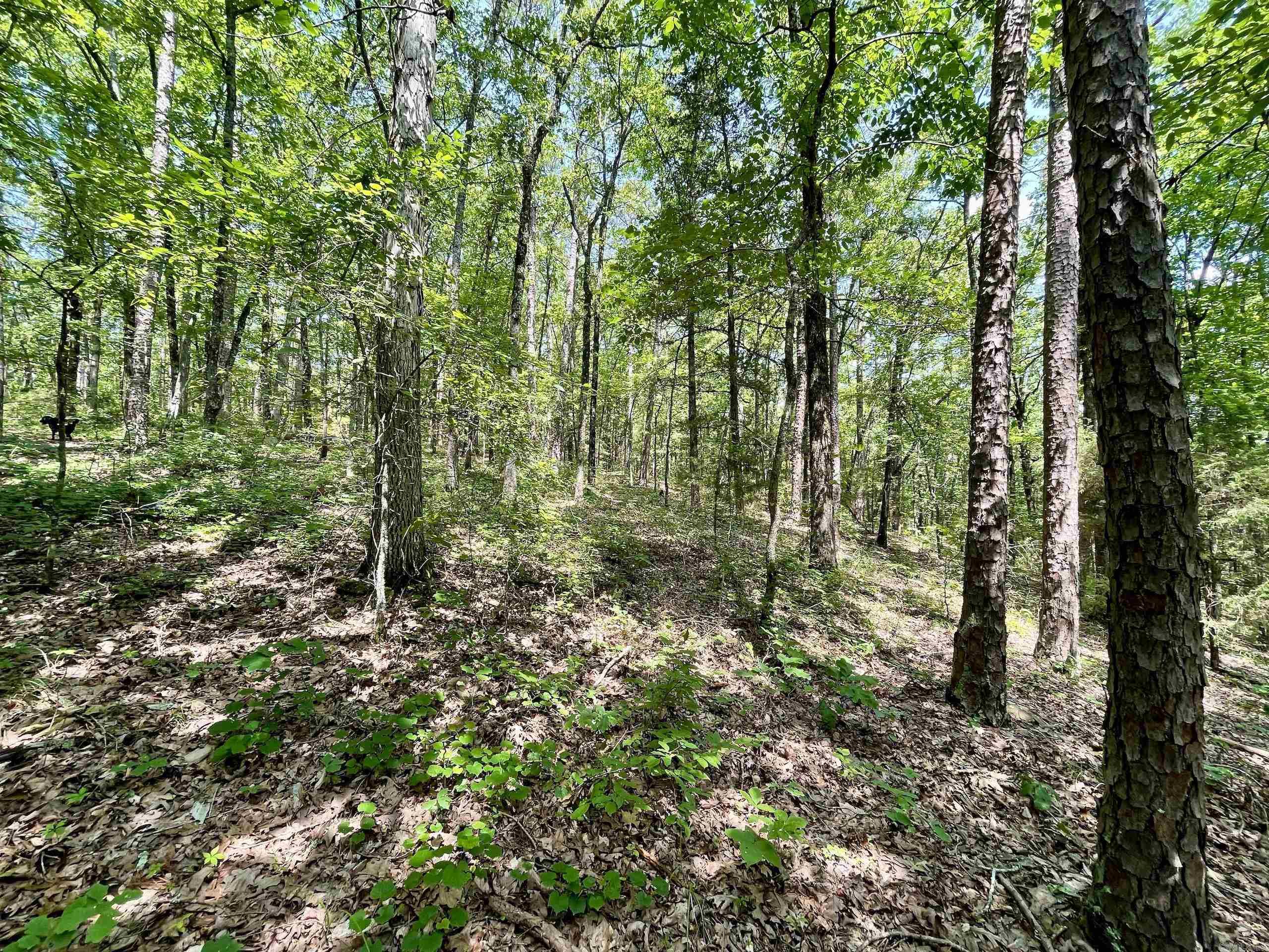 000 Resort  Higden, AR