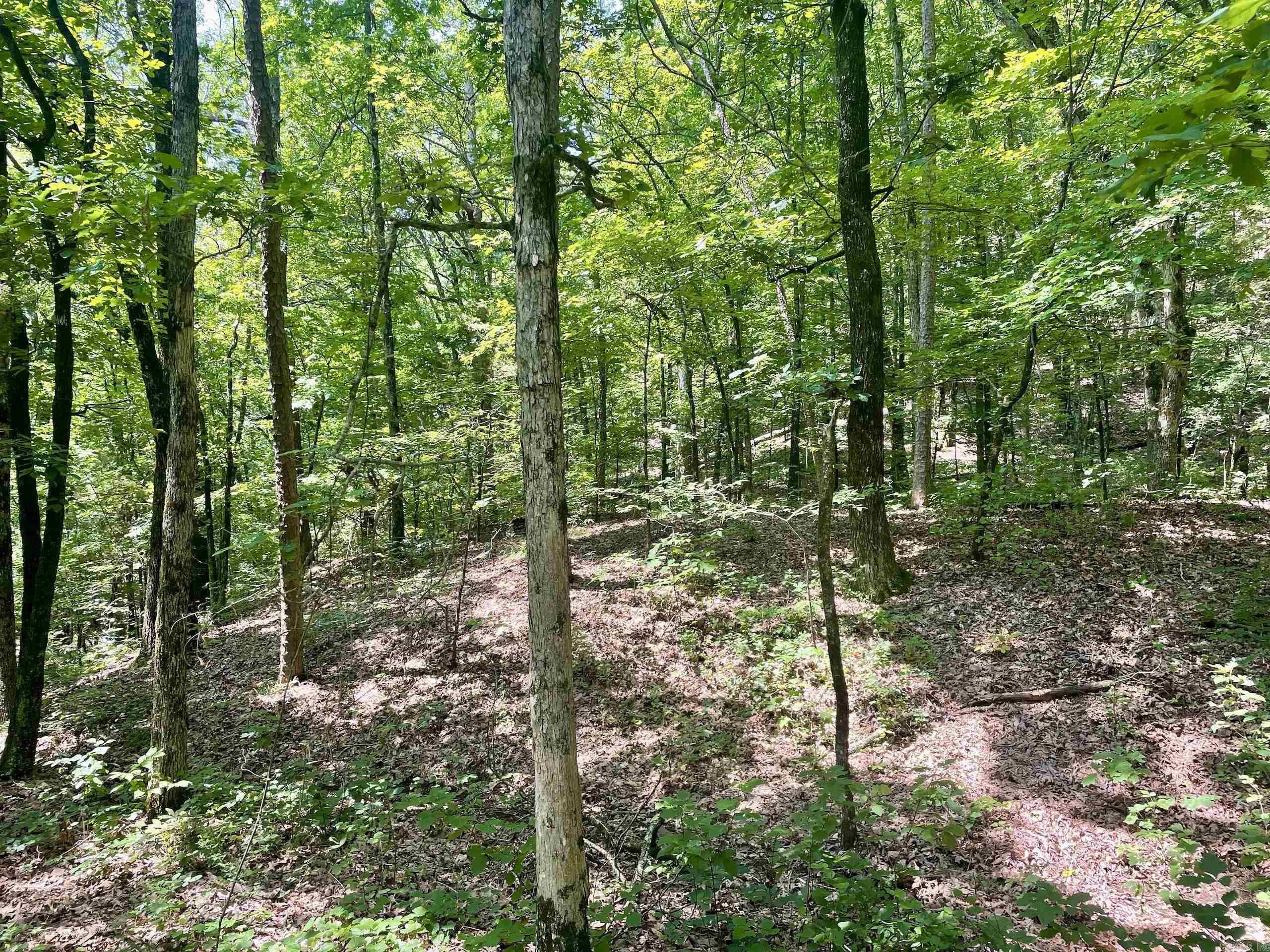 000 Resort  Higden, AR