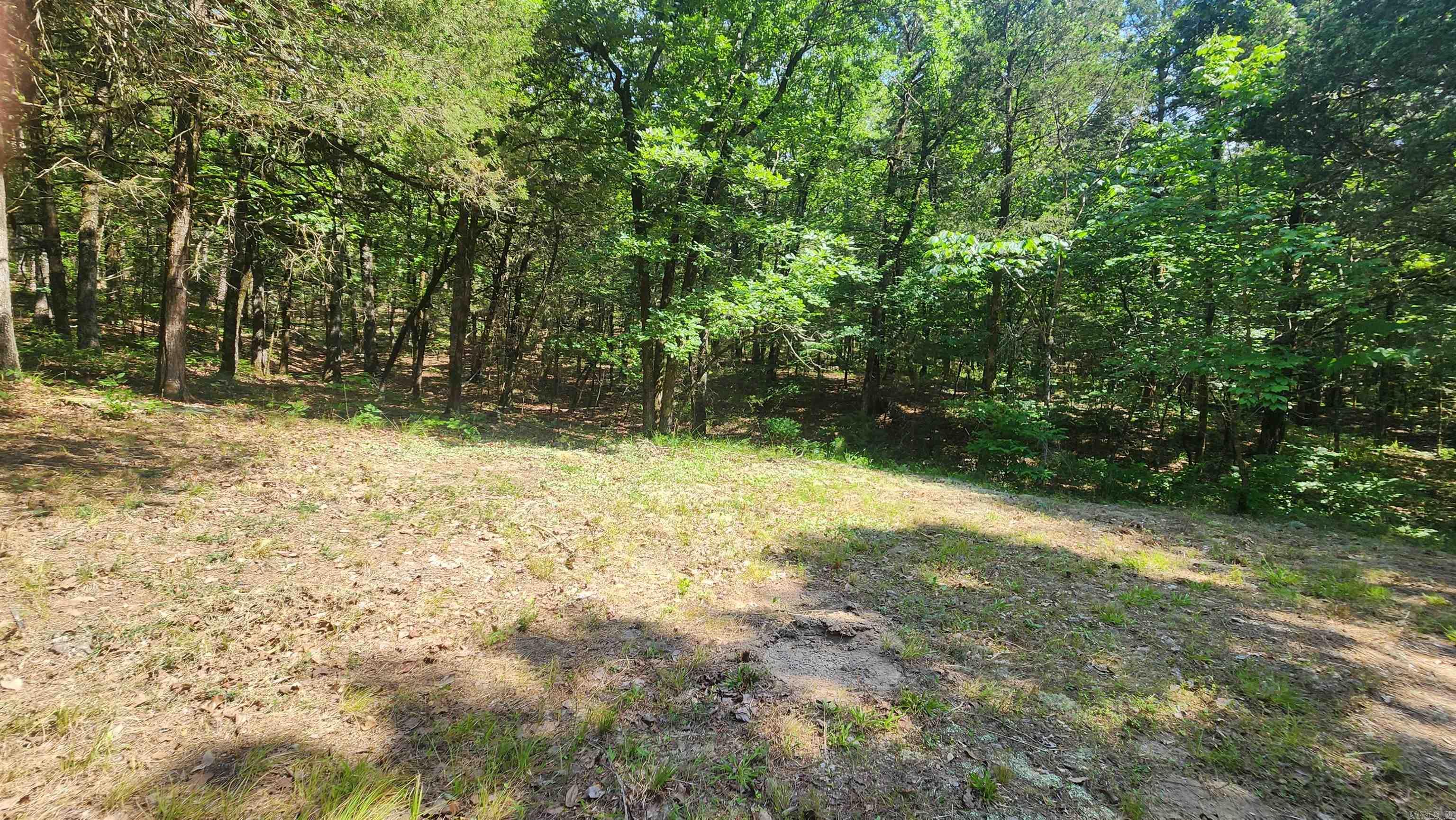 TBD Yonder Tree Rd  Story, AR