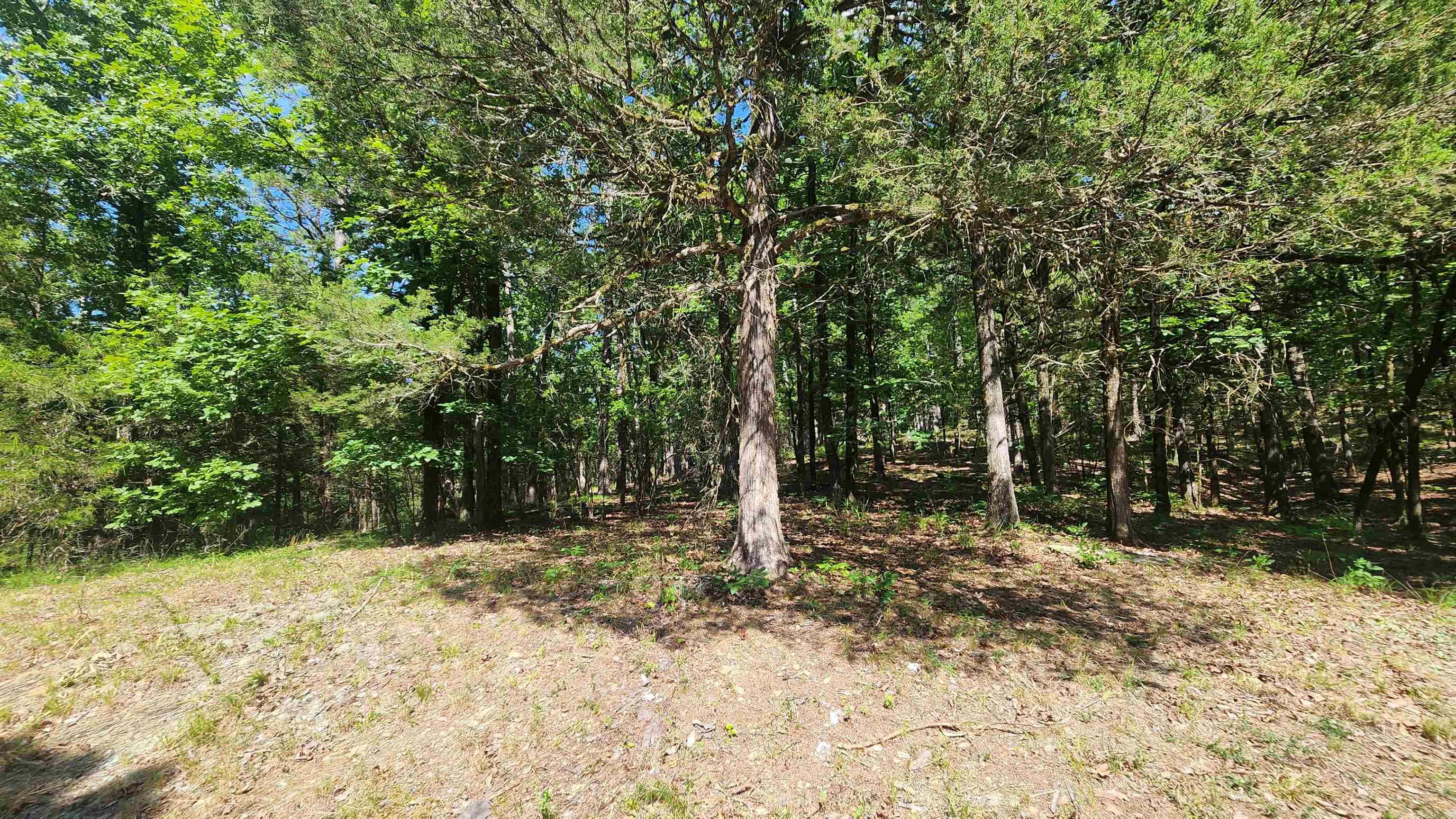 TBD Yonder Tree Rd  Story, AR
