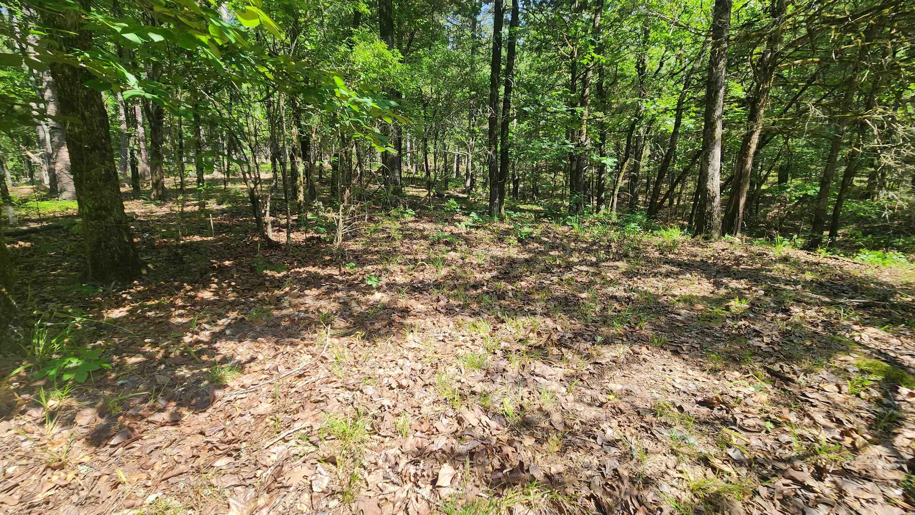 TBD Yonder Tree Rd  Story, AR