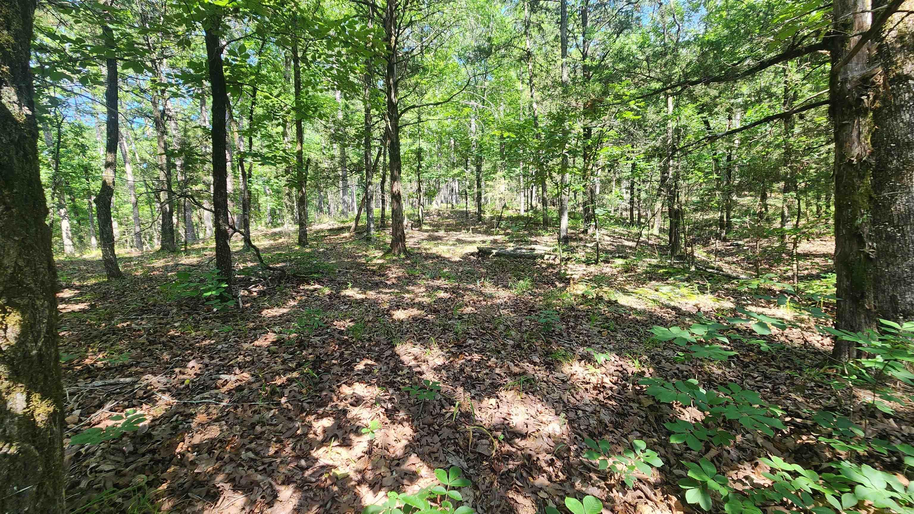 TBD Yonder Tree Rd  Story, AR
