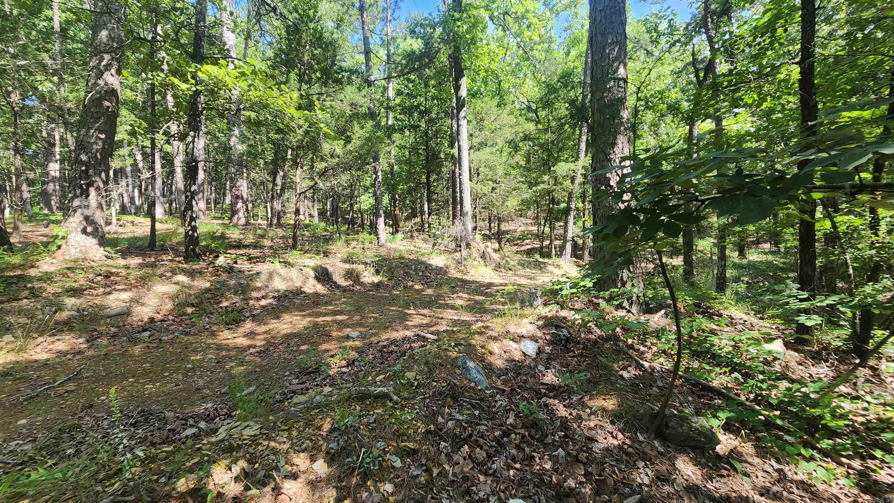 TBD Yonder Tree Rd  Story, AR