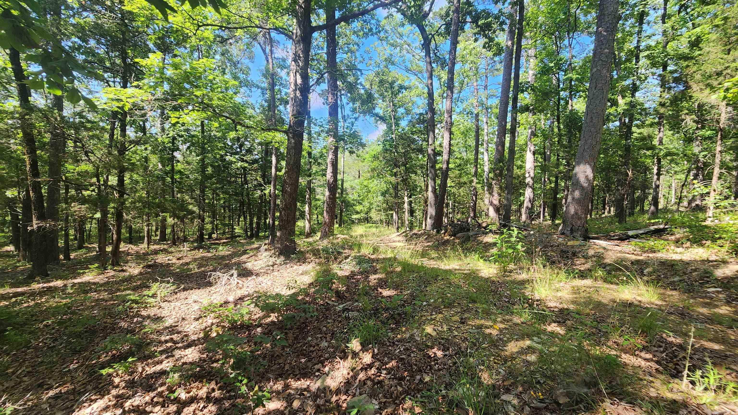TBD Yonder Tree Rd  Story, AR