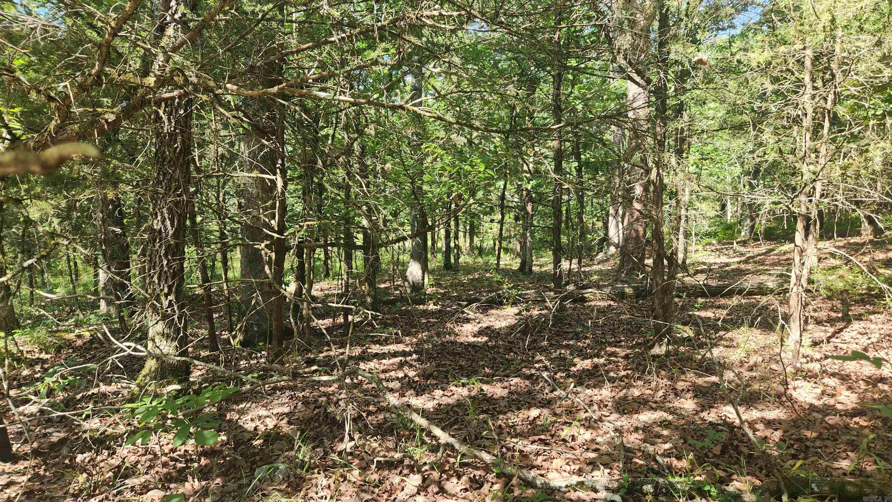 TBD Yonder Tree Rd  Story, AR