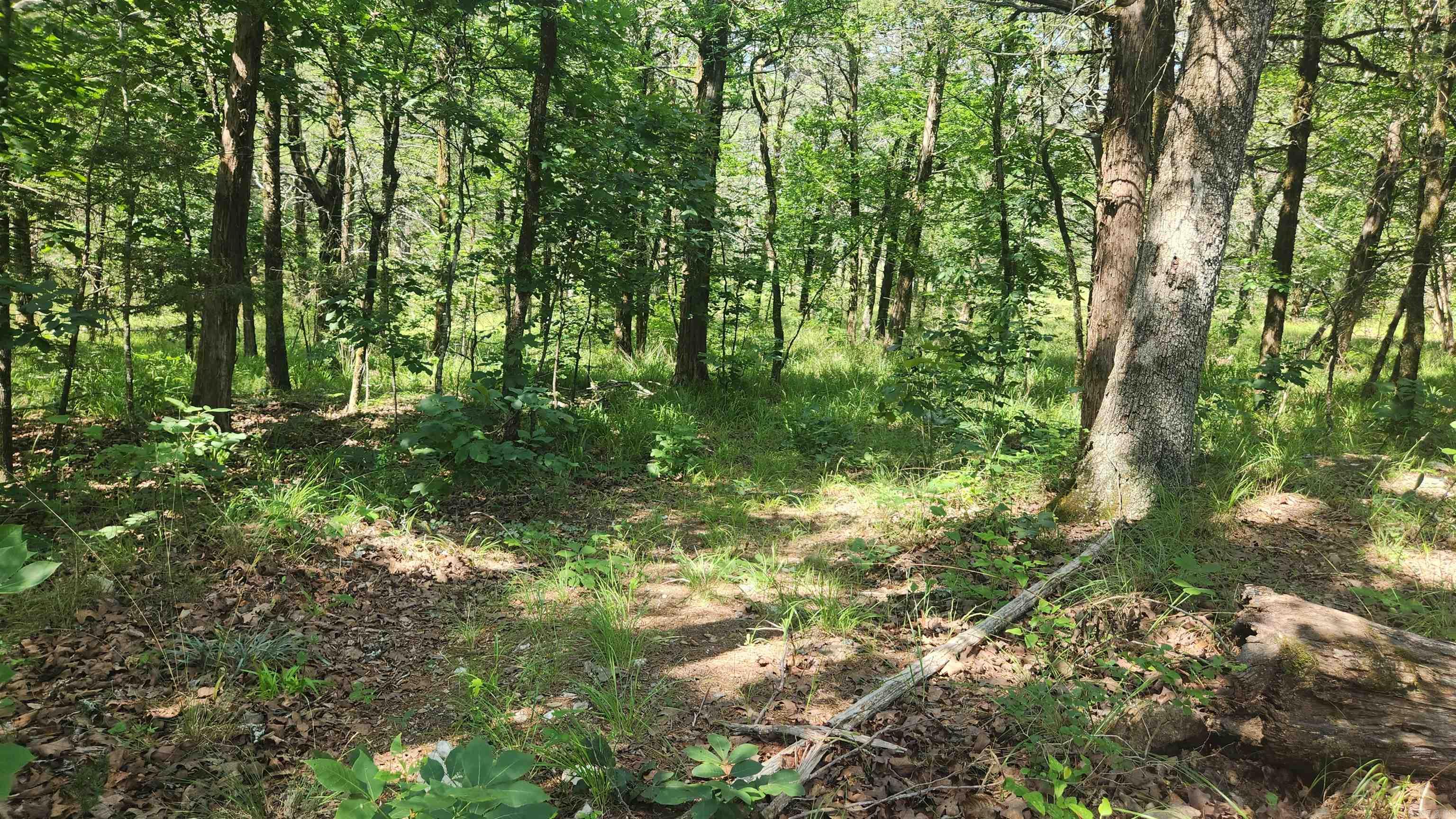 TBD Yonder Tree Rd  Story, AR